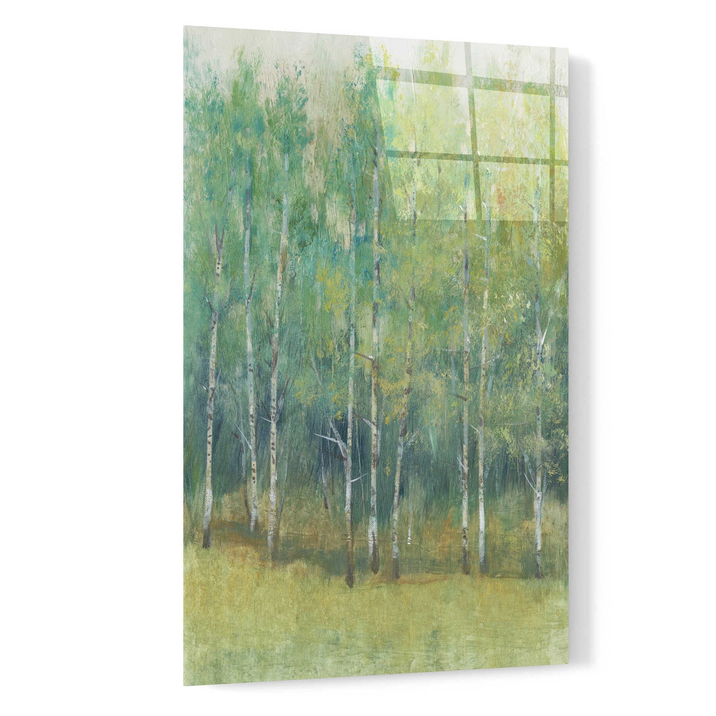 Epic Art 'Woodland Edge I' by Tim O'Toole, Acrylic Glass Wall Art,16x24