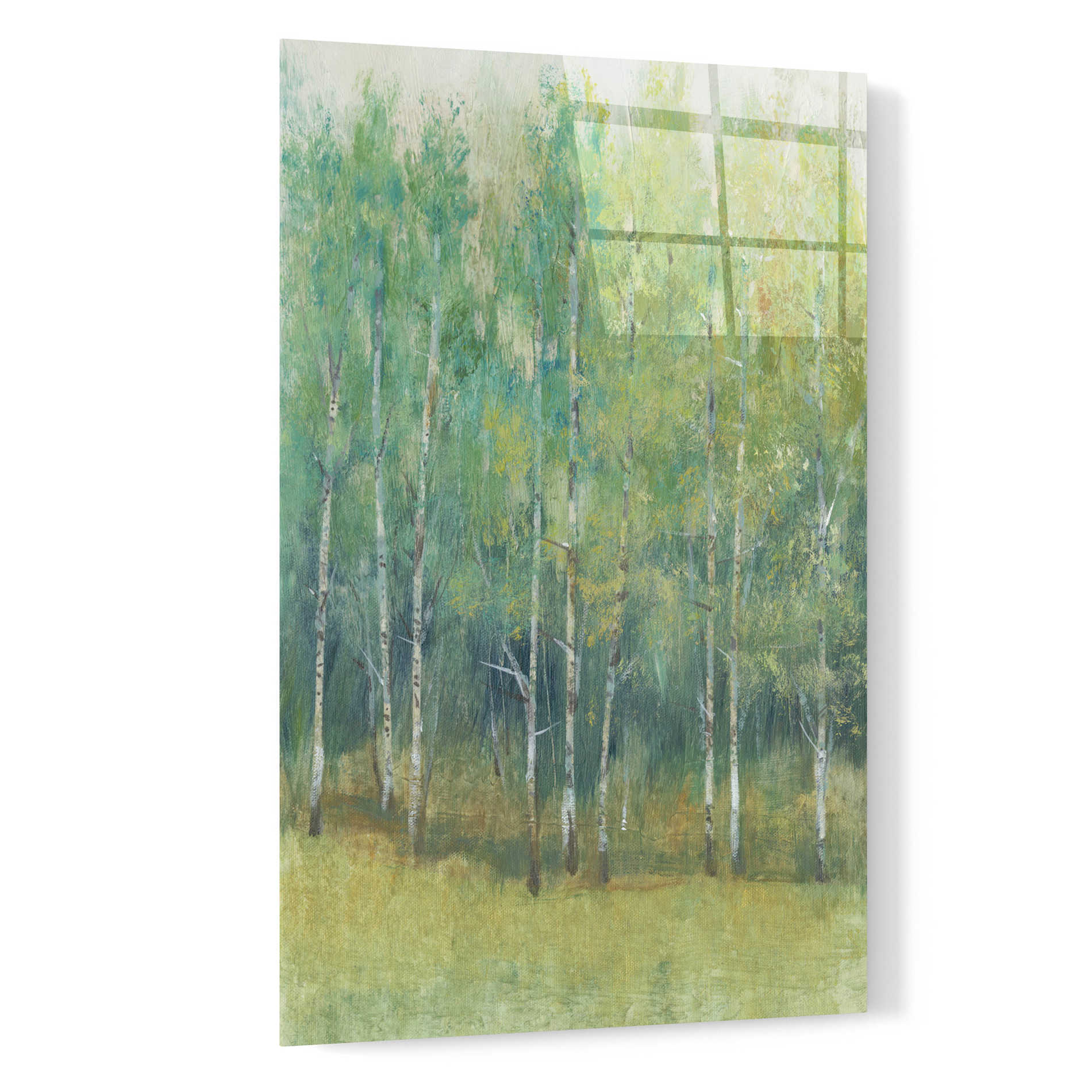 Epic Art 'Woodland Edge I' by Tim O'Toole, Acrylic Glass Wall Art,16x24