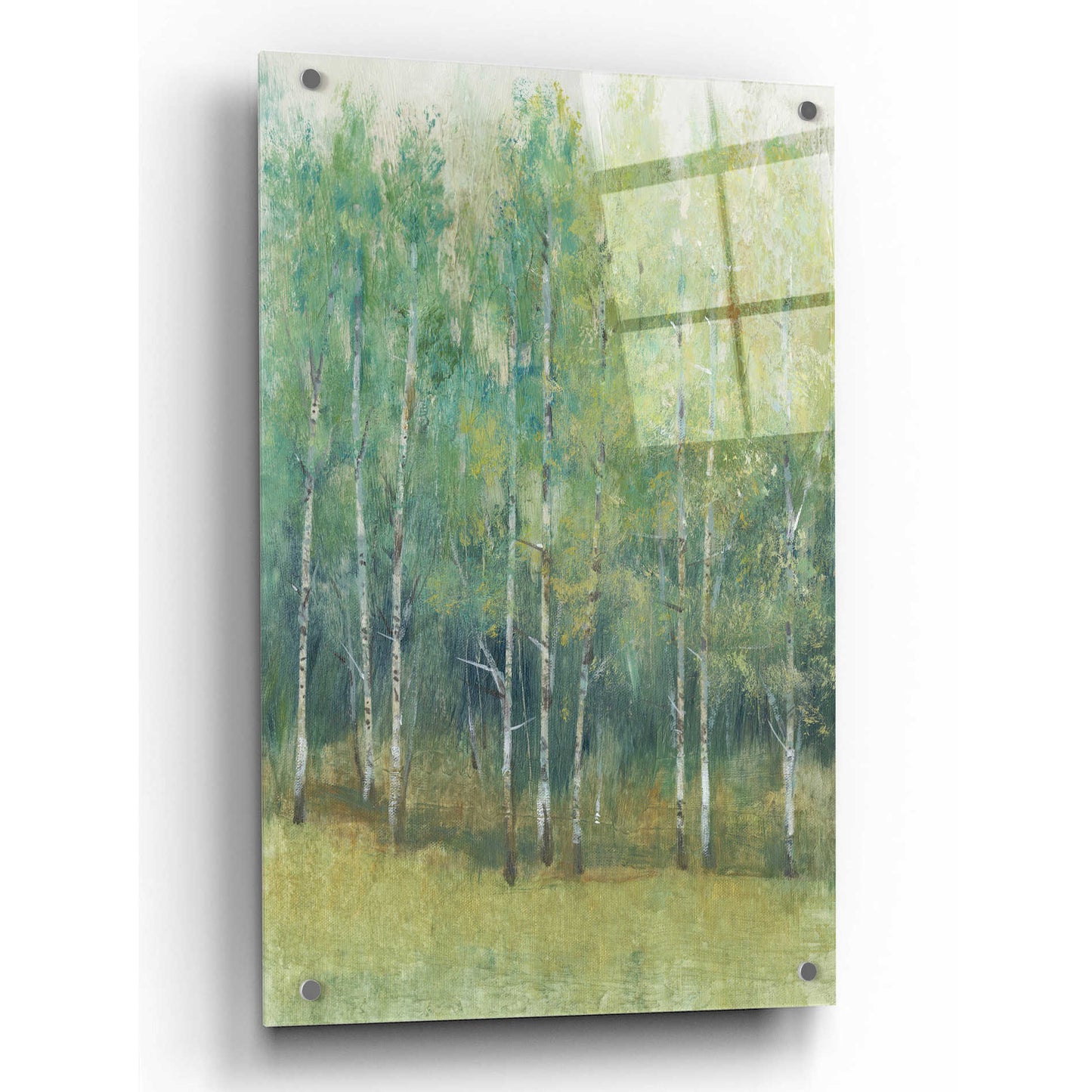 Epic Art 'Woodland Edge I' by Tim O'Toole, Acrylic Glass Wall Art,24x36