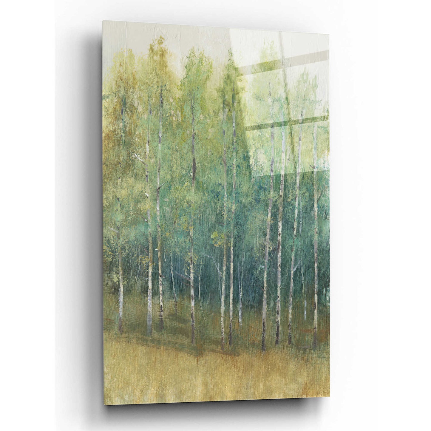 Epic Art 'Woodland Edge II' by Tim O'Toole, Acrylic Glass Wall Art,12x16