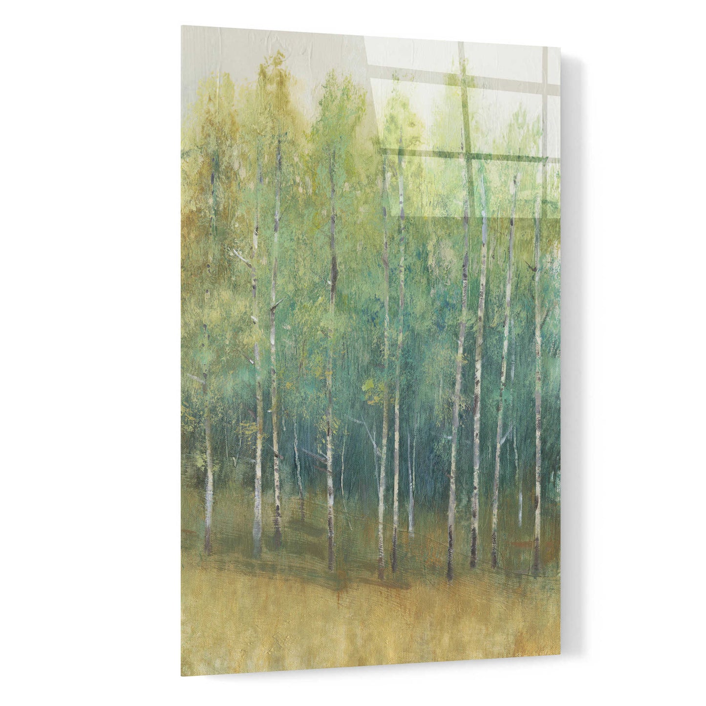 Epic Art 'Woodland Edge II' by Tim O'Toole, Acrylic Glass Wall Art,16x24