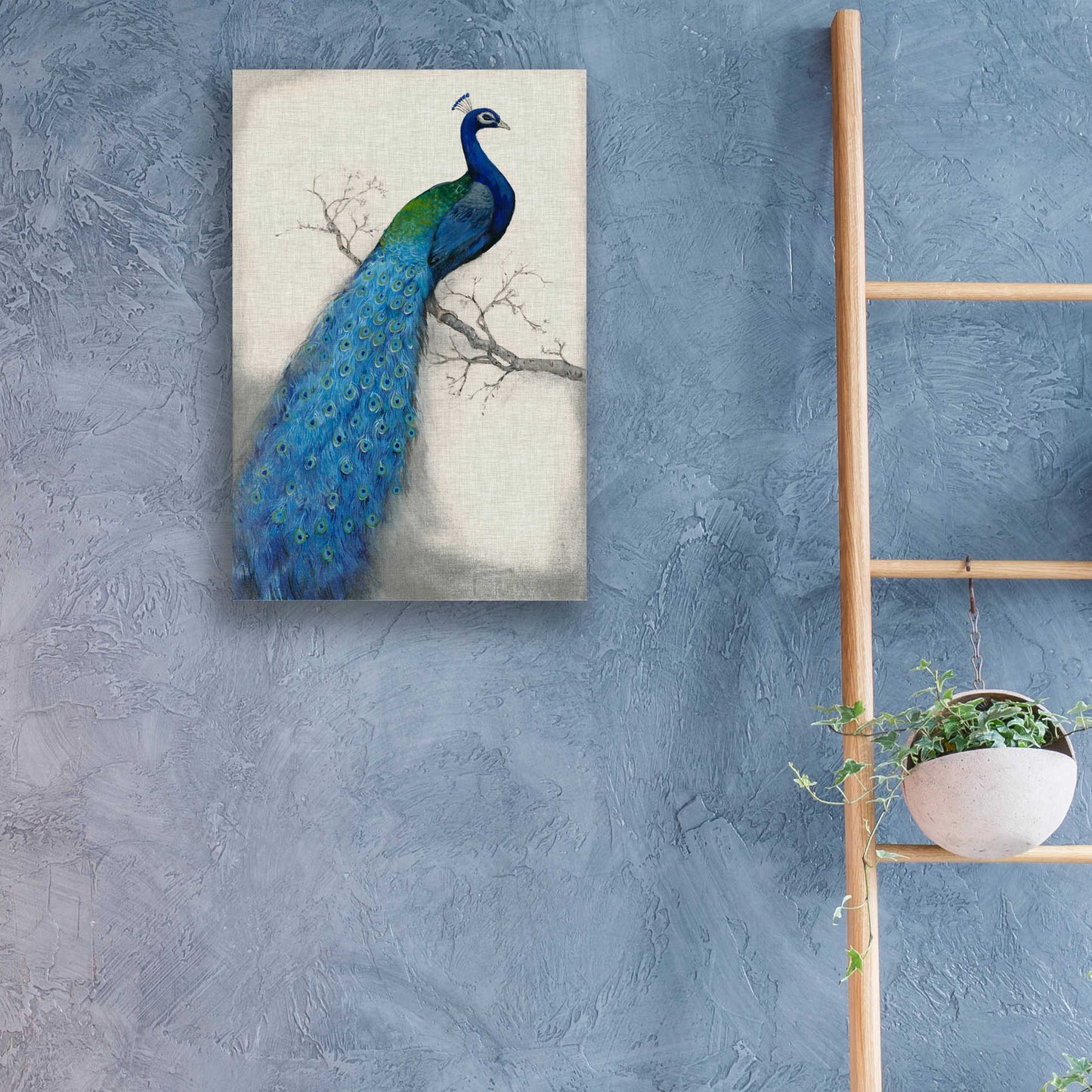 Epic Art 'Peacock Blue I' by Tim O'Toole, Acrylic Glass Wall Art,16x24