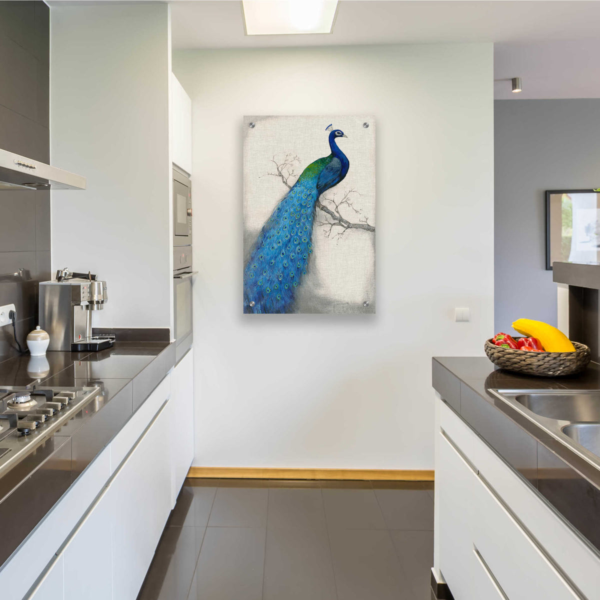 Epic Art 'Peacock Blue I' by Tim O'Toole, Acrylic Glass Wall Art,24x36