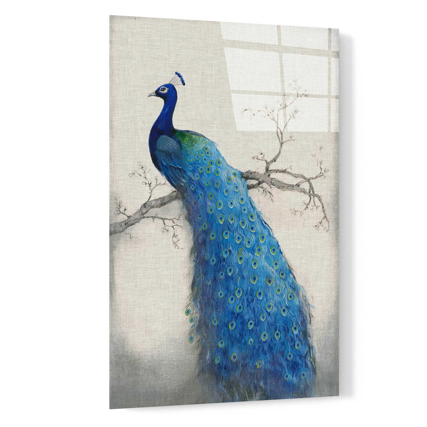 Epic Art 'Peacock Blue II' by Tim O'Toole, Acrylic Glass Wall Art,16x24