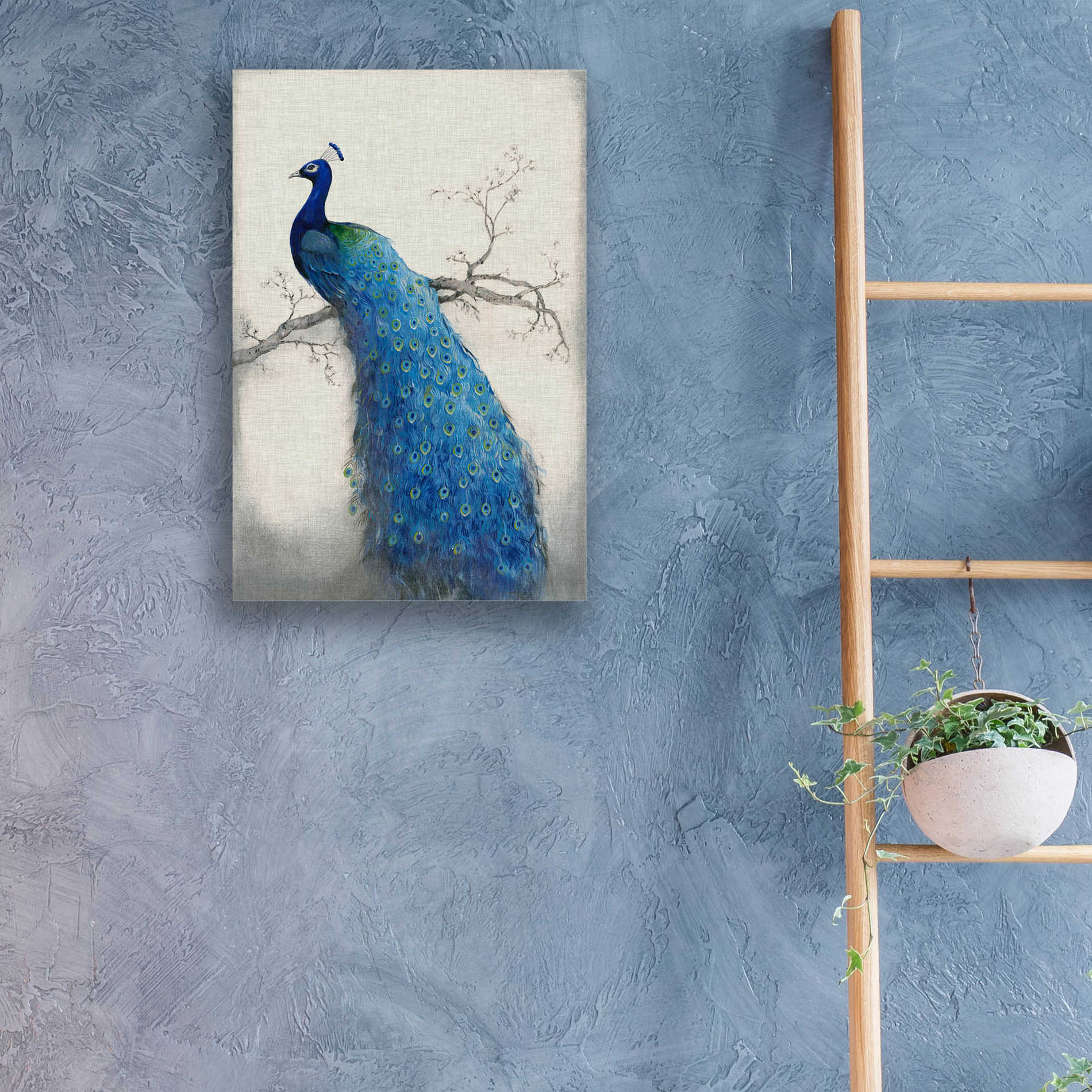 Epic Art 'Peacock Blue II' by Tim O'Toole, Acrylic Glass Wall Art,16x24