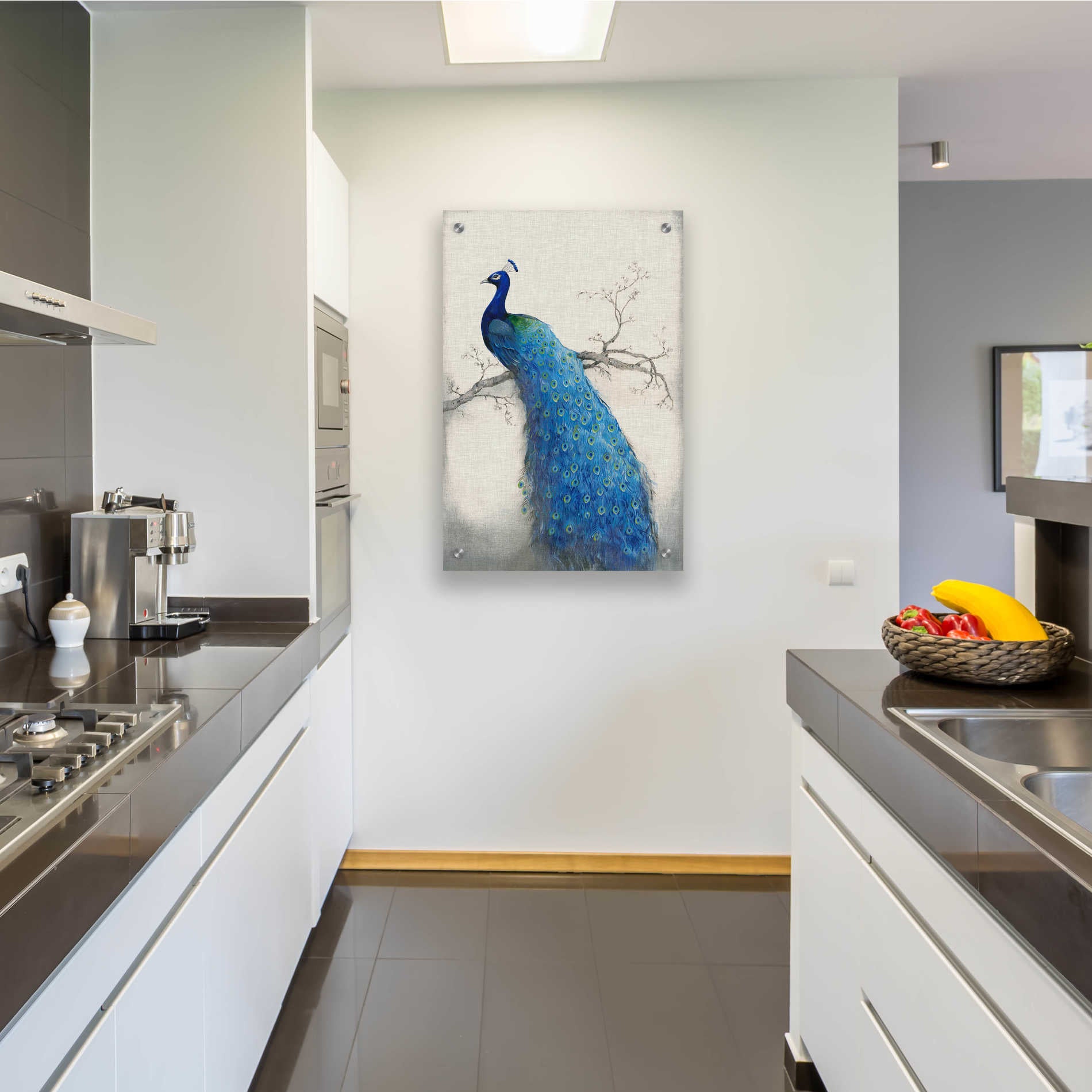 Epic Art 'Peacock Blue II' by Tim O'Toole, Acrylic Glass Wall Art,24x36