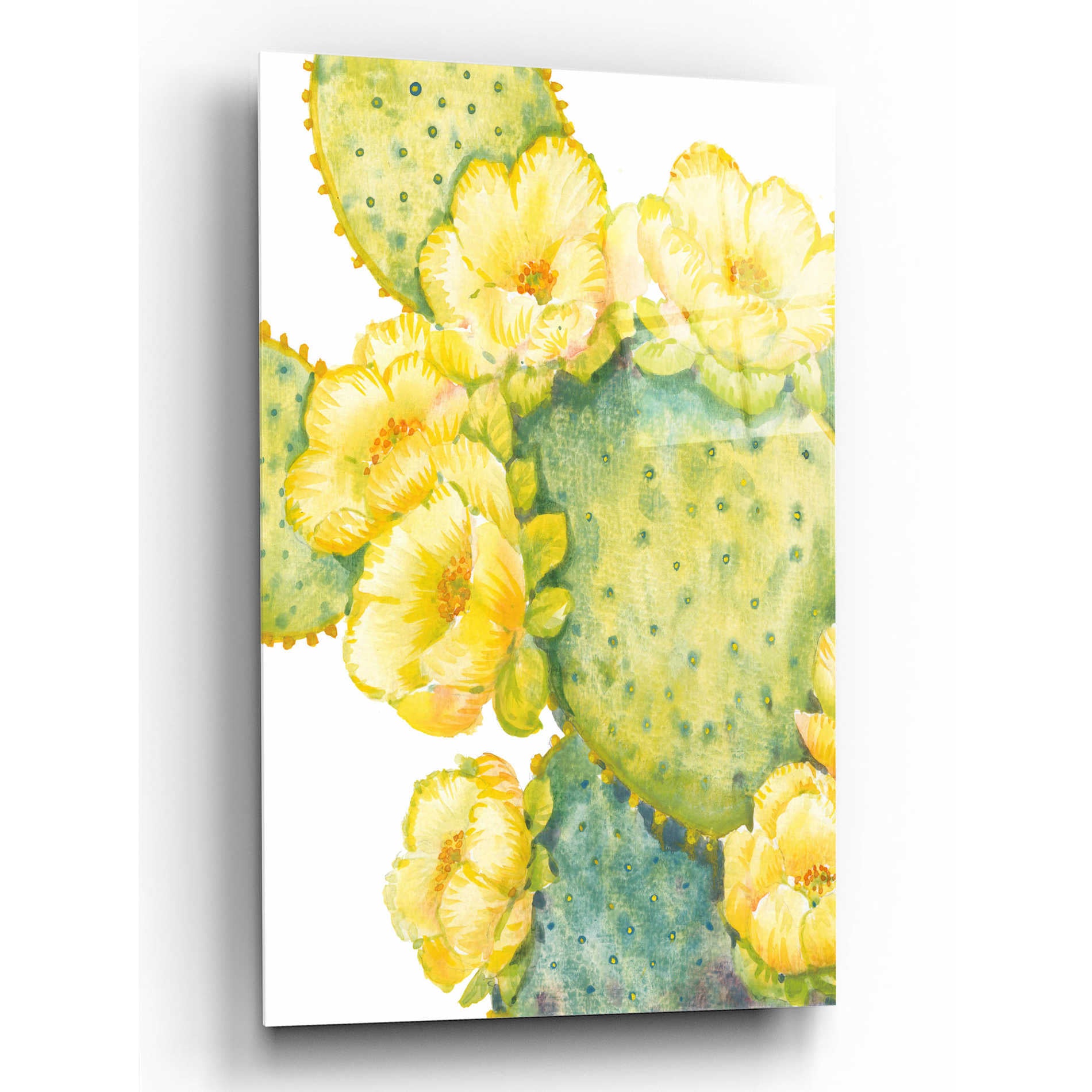 Epic Art 'Cactus on Silver I' by Tim O'Toole, Acrylic Glass Wall Art,12x16