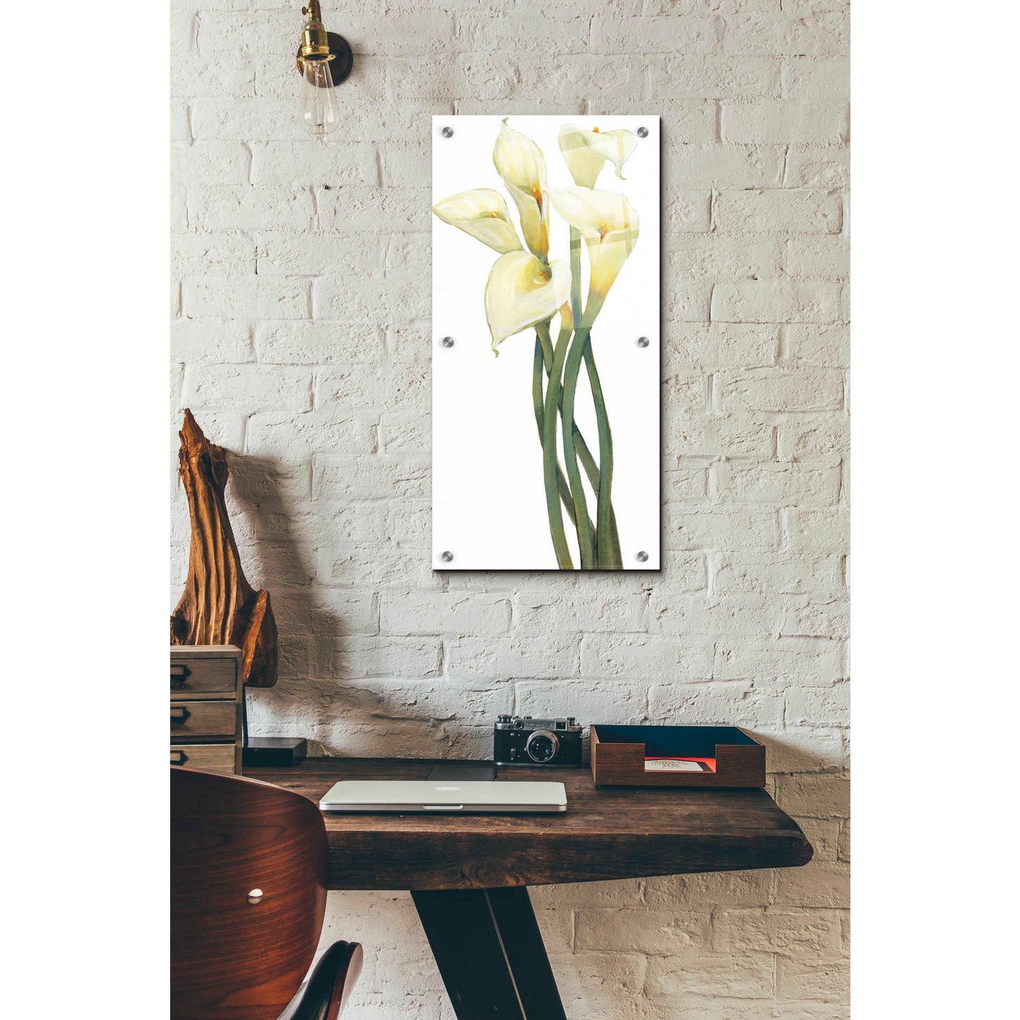 Epic Art 'Callas on Silver I' by Tim O'Toole, Acrylic Glass Wall Art,12x24