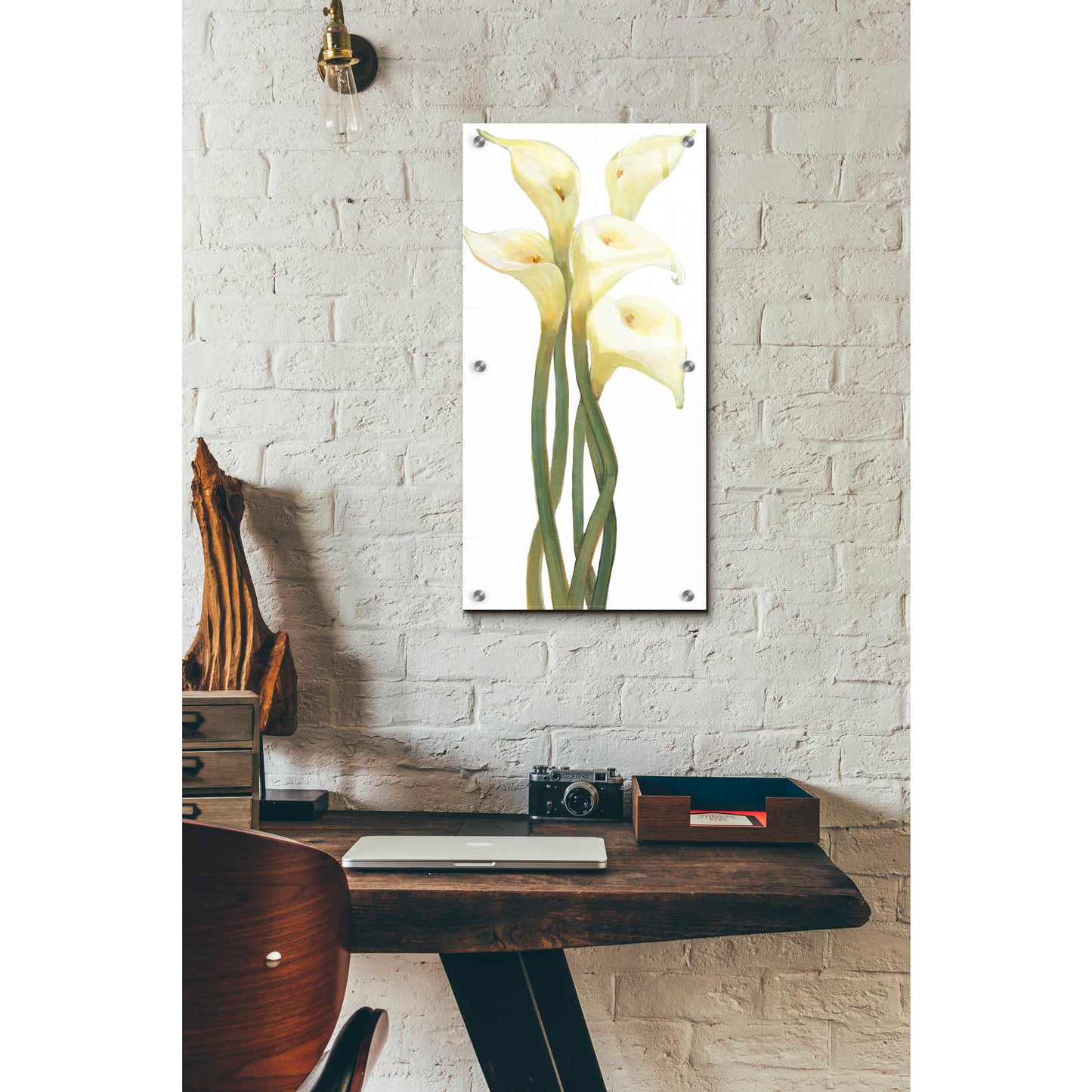 Epic Art 'Callas on Silver II' by Tim O'Toole, Acrylic Glass Wall Art,12x24