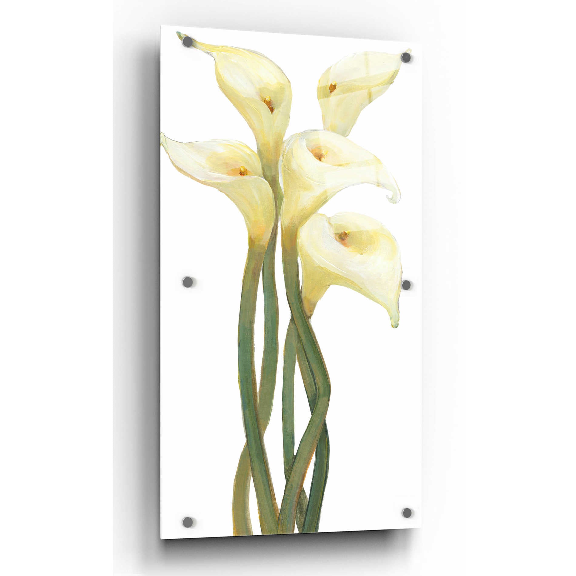 Epic Art 'Callas on Silver II' by Tim O'Toole, Acrylic Glass Wall Art,12x24