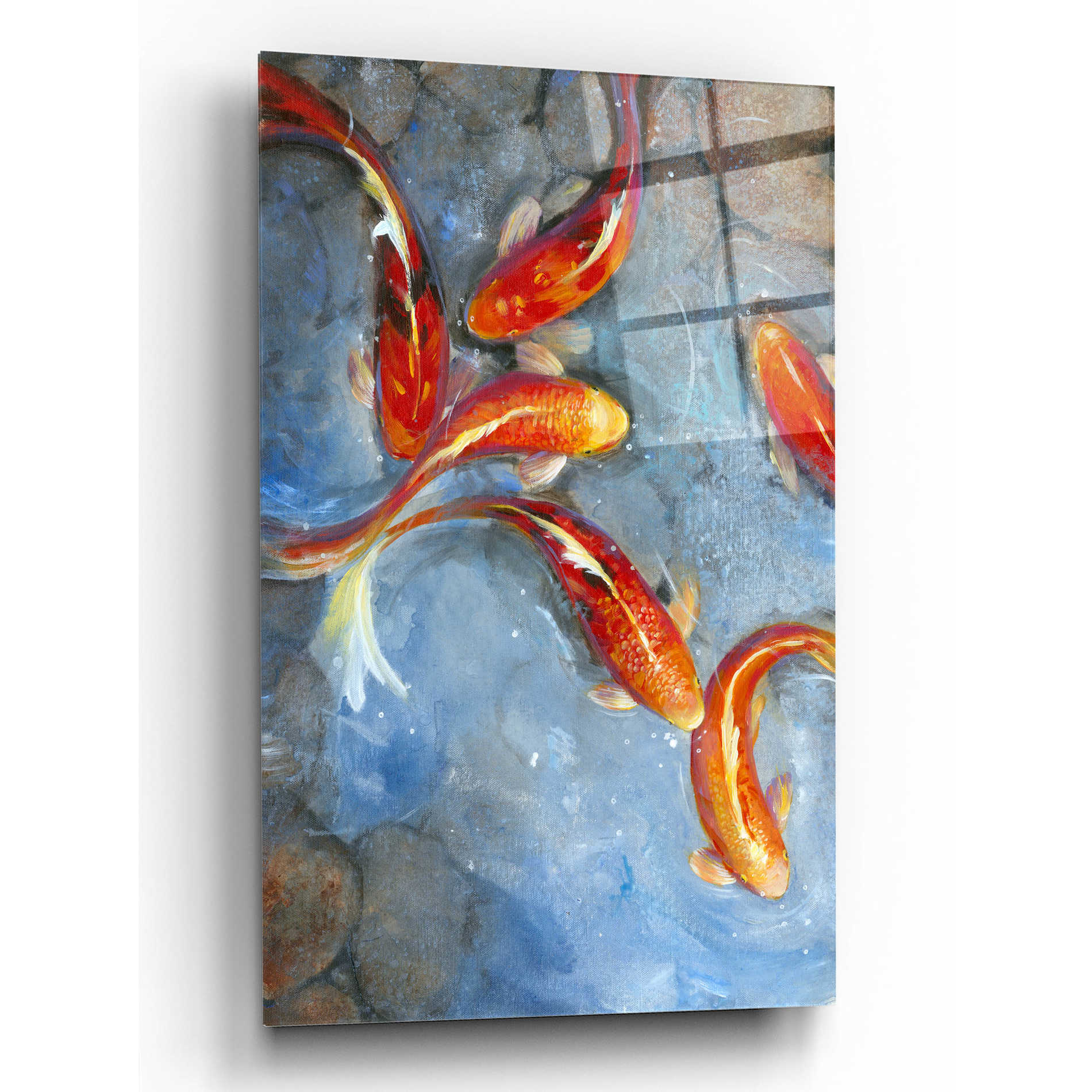 Epic Art 'Graceful Koi II' by Tim O'Toole, Acrylic Glass Wall Art,12x16