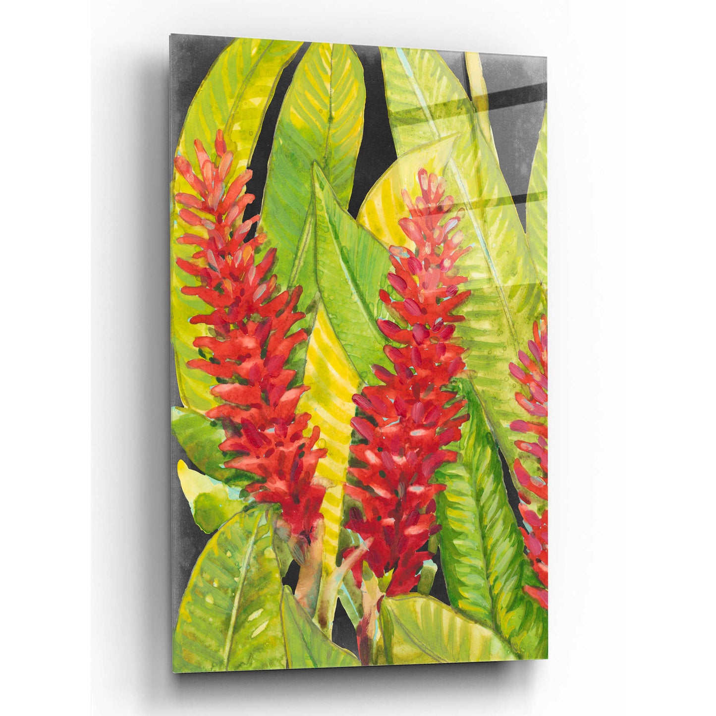 Epic Art 'Red Tropical Flowers I' by Tim O'Toole, Acrylic Glass Wall Art,12x16