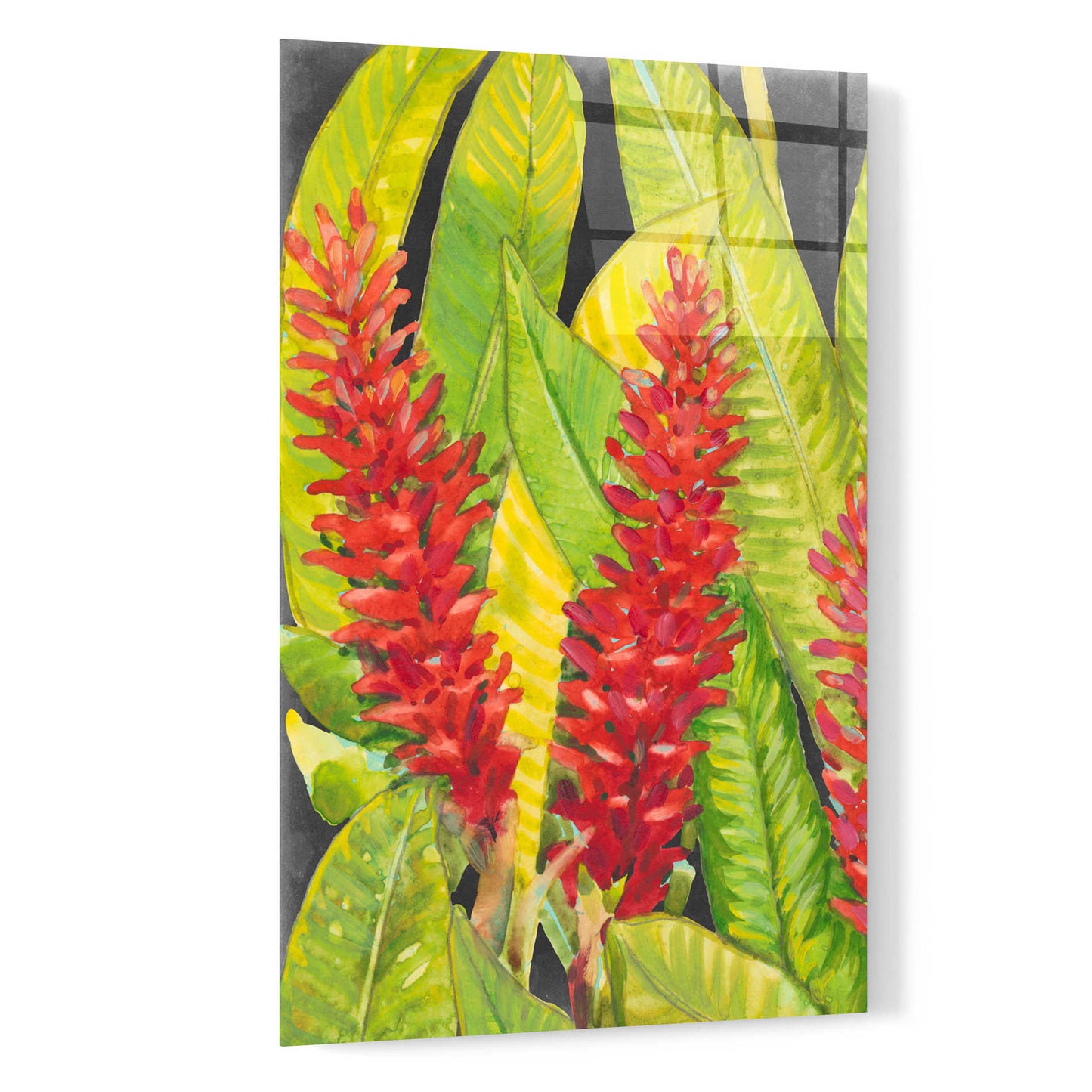 Epic Art 'Red Tropical Flowers I' by Tim O'Toole, Acrylic Glass Wall Art,16x24