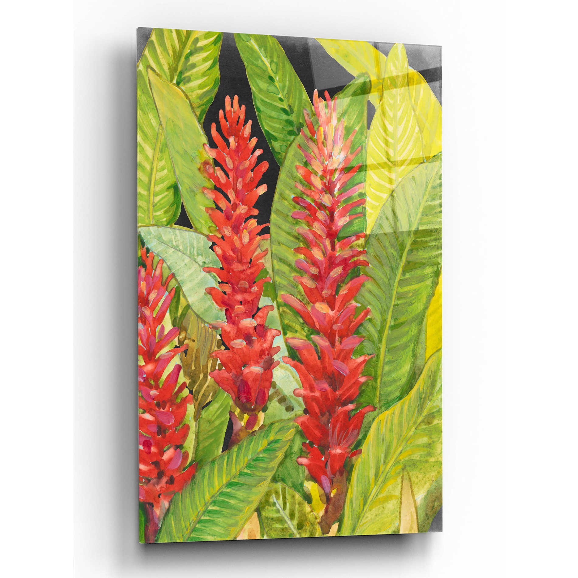 Epic Art 'Red Tropical Flowers II' by Tim O'Toole, Acrylic Glass Wall Art,12x16