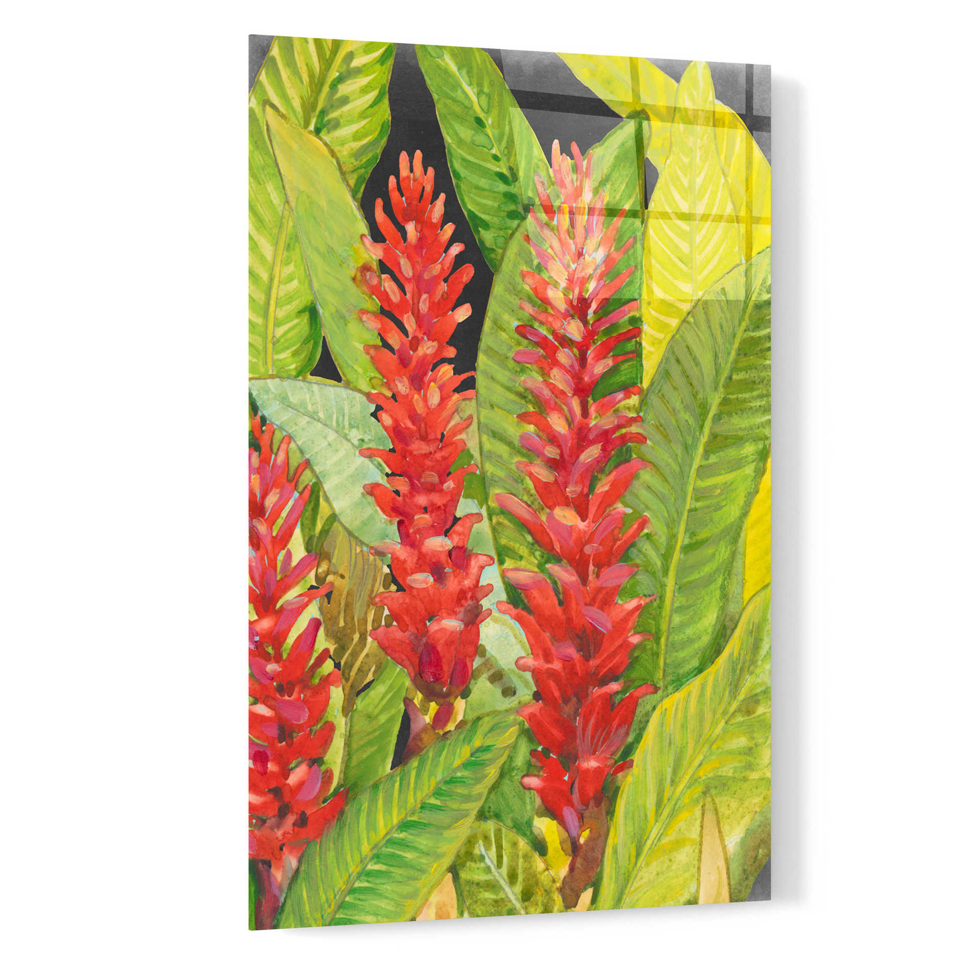 Epic Art 'Red Tropical Flowers II' by Tim O'Toole, Acrylic Glass Wall Art,16x24