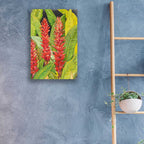Epic Art 'Red Tropical Flowers II' by Tim O'Toole, Acrylic Glass Wall Art,16x24
