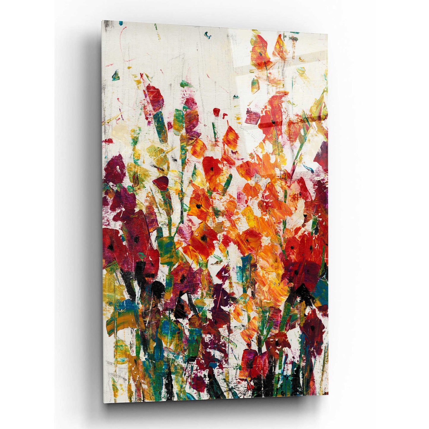 Epic Art 'Wildflowers Blooming II' by Tim O'Toole, Acrylic Glass Wall Art,12x16