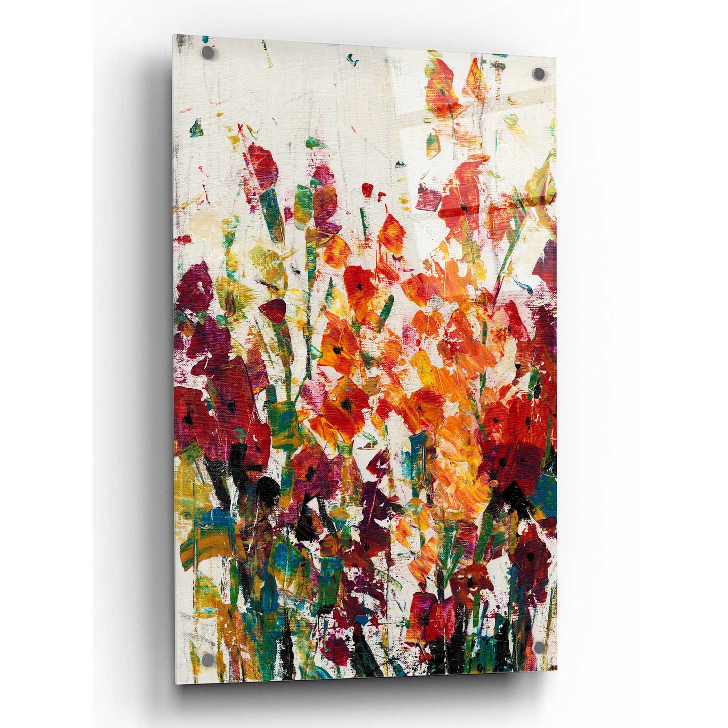 Epic Art 'Wildflowers Blooming II' by Tim O'Toole, Acrylic Glass Wall Art,24x36