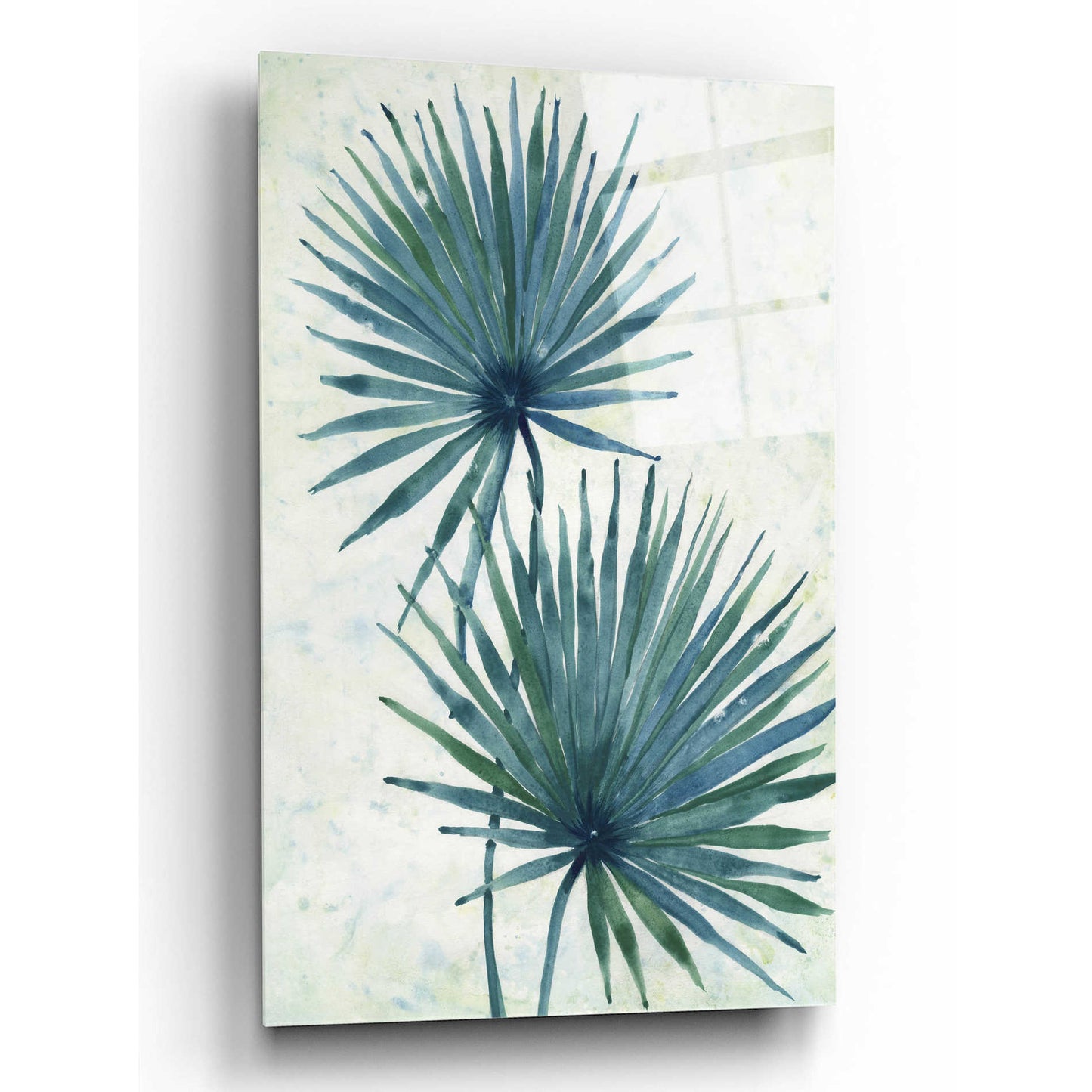 Epic Art 'Palm Leaves I' by Tim O'Toole, Acrylic Glass Wall Art,12x16