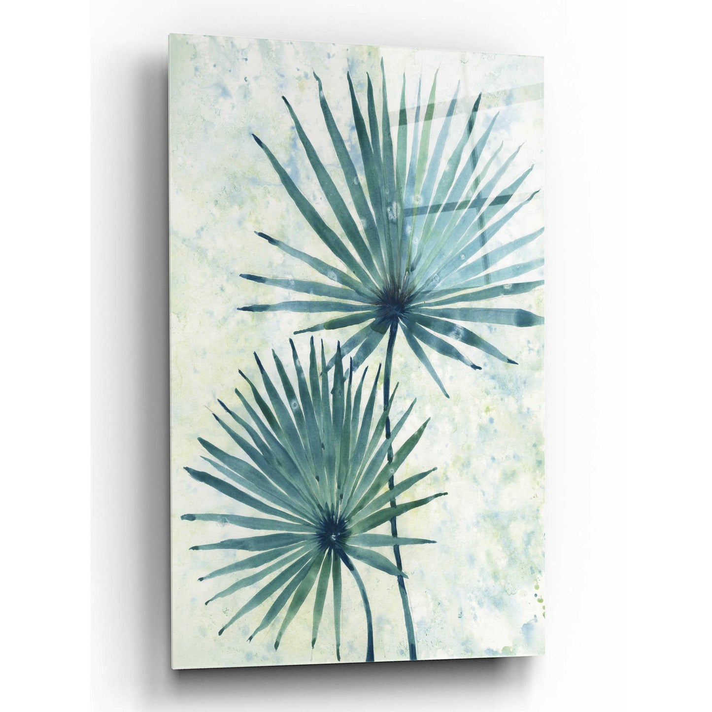 Epic Art 'Palm Leaves II' by Tim O'Toole, Acrylic Glass Wall Art,12x16