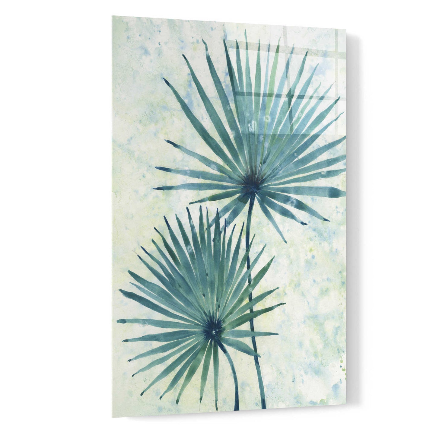 Epic Art 'Palm Leaves II' by Tim O'Toole, Acrylic Glass Wall Art,16x24