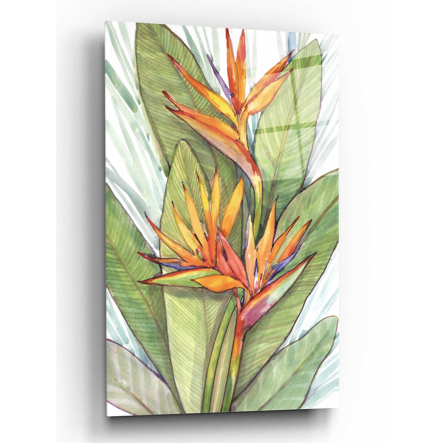 Epic Art 'Tropical Botanical Paradise I' by Tim O'Toole, Acrylic Glass Wall Art,12x16