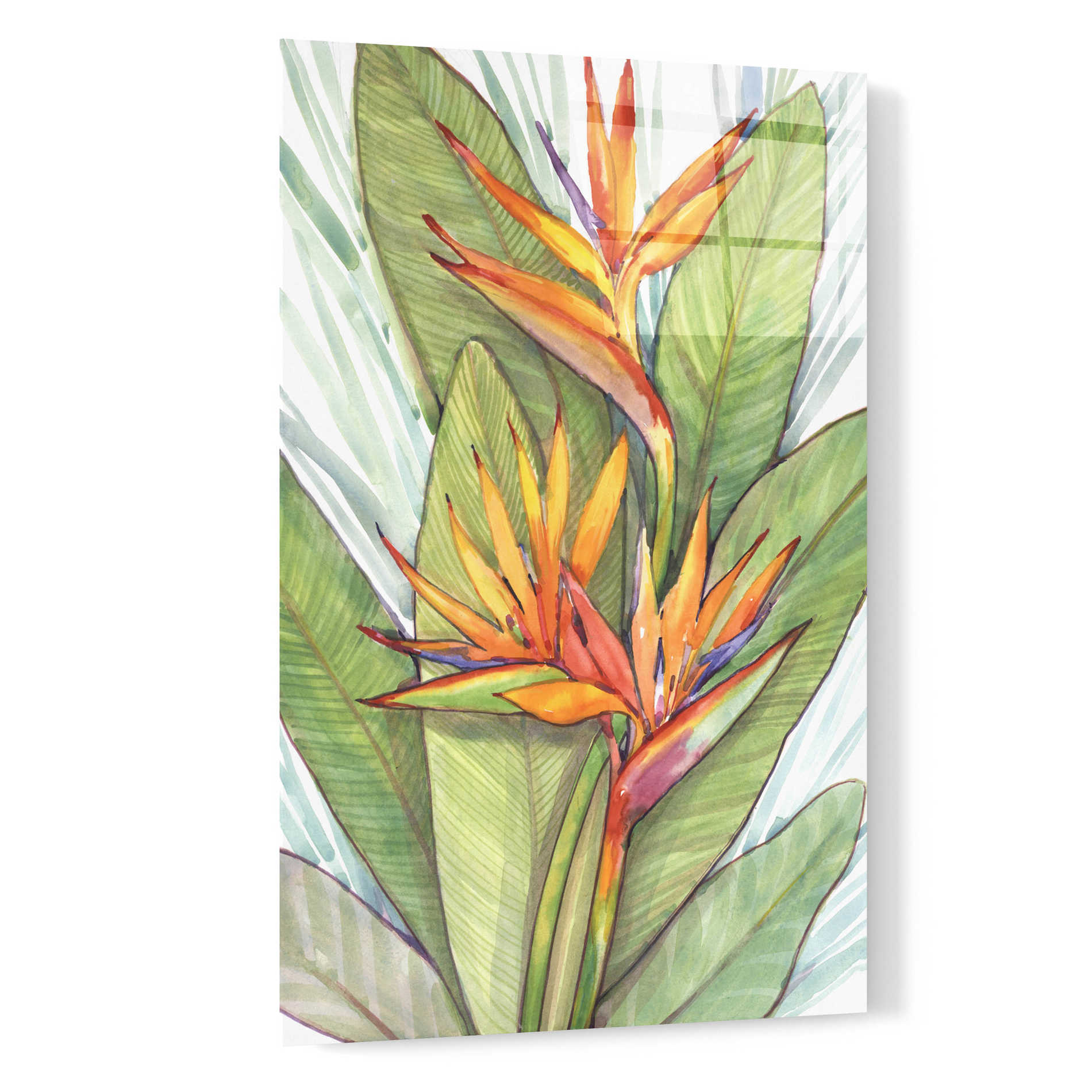 Epic Art 'Tropical Botanical Paradise I' by Tim O'Toole, Acrylic Glass Wall Art,16x24