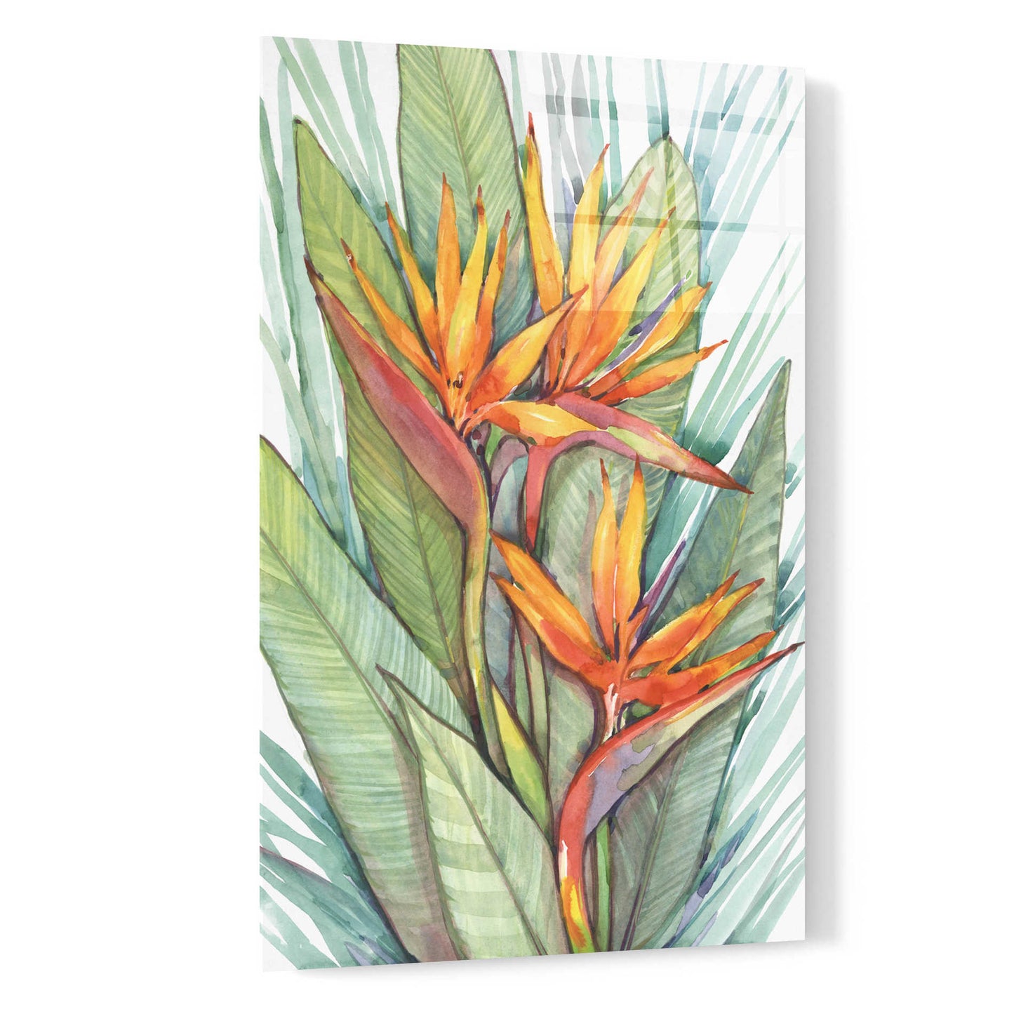 Epic Art 'Tropical Botanical Paradise II' by Tim O'Toole, Acrylic Glass Wall Art,16x24