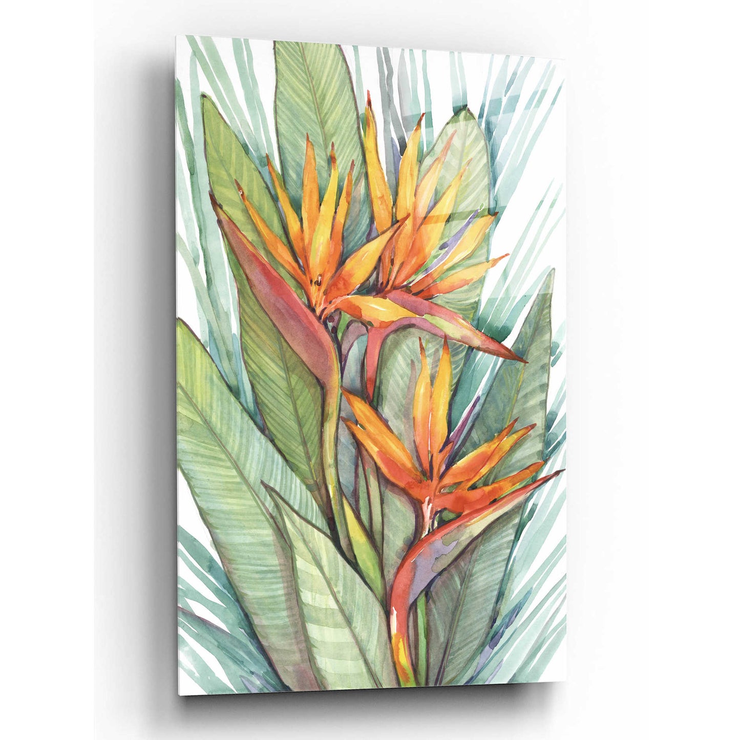 Epic Art 'Tropical Botanical Paradise II' by Tim O'Toole, Acrylic Glass Wall Art,16x24