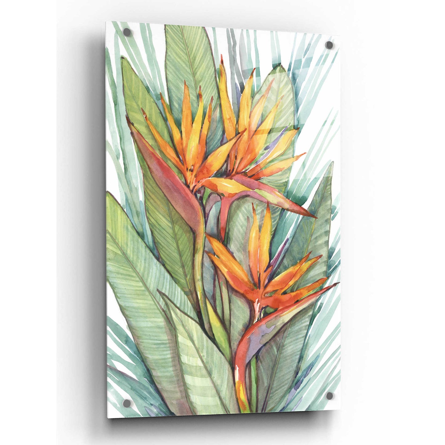 Epic Art 'Tropical Botanical Paradise II' by Tim O'Toole, Acrylic Glass Wall Art,24x36