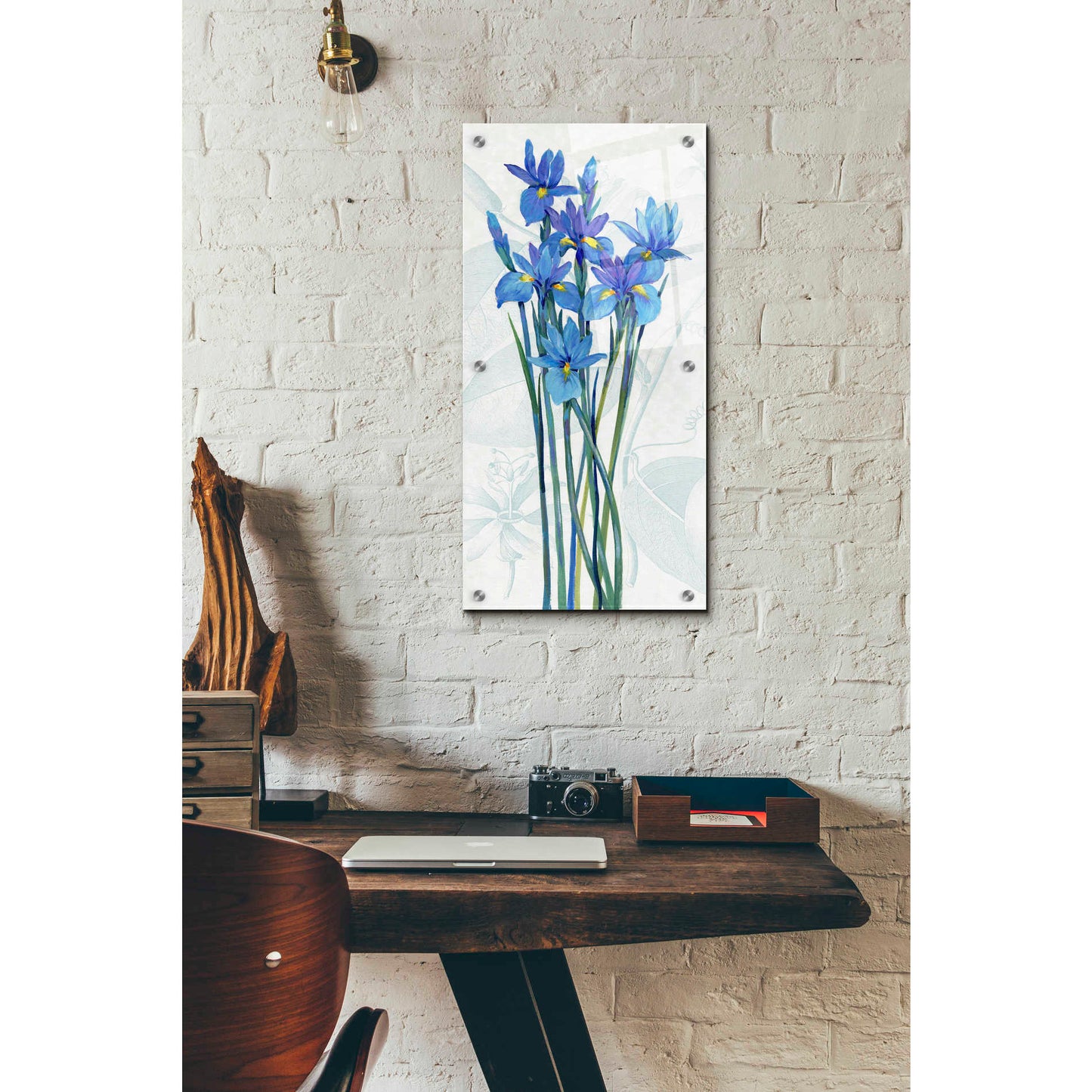 Epic Art 'Blue Iris Panel I' by Tim O'Toole, Acrylic Glass Wall Art,12x24