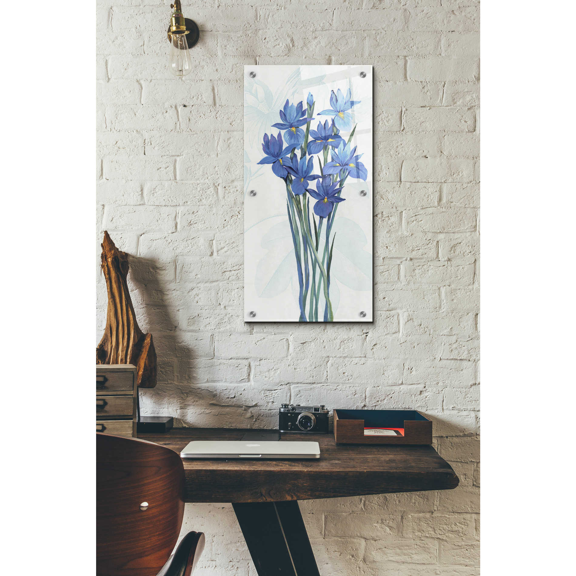 Epic Art 'Blue Iris Panel II' by Tim O'Toole, Acrylic Glass Wall Art,12x24