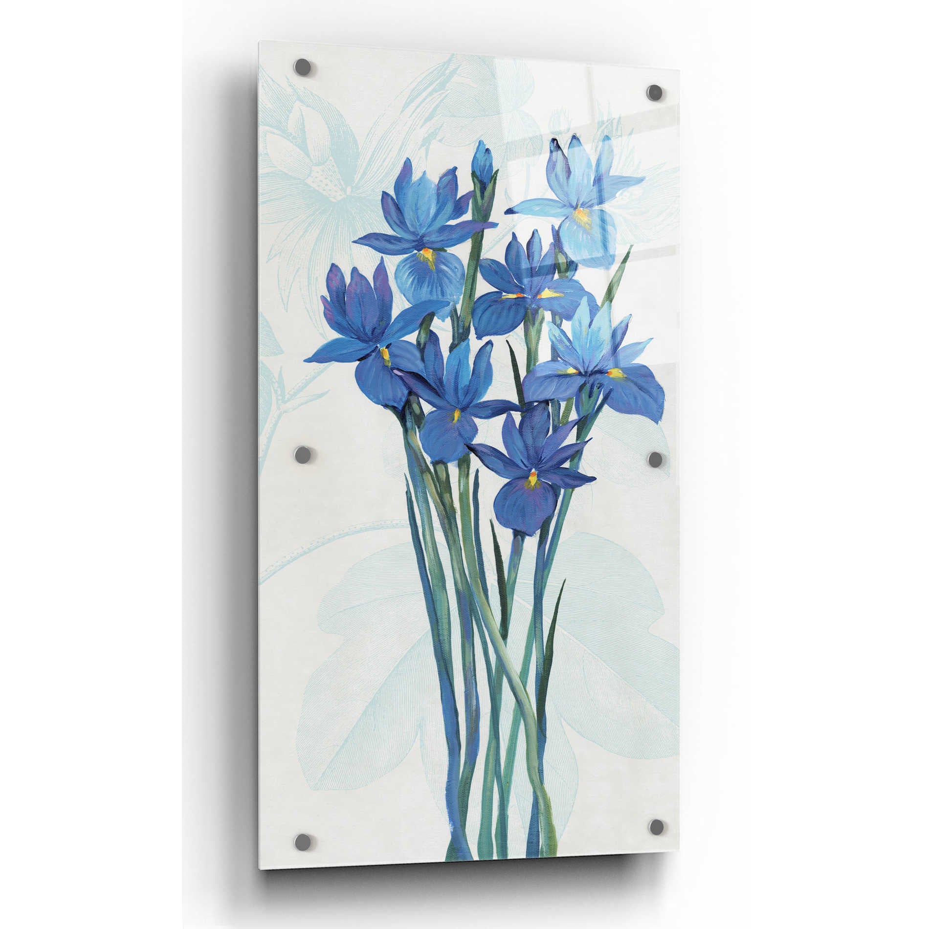 Epic Art 'Blue Iris Panel II' by Tim O'Toole, Acrylic Glass Wall Art,12x24