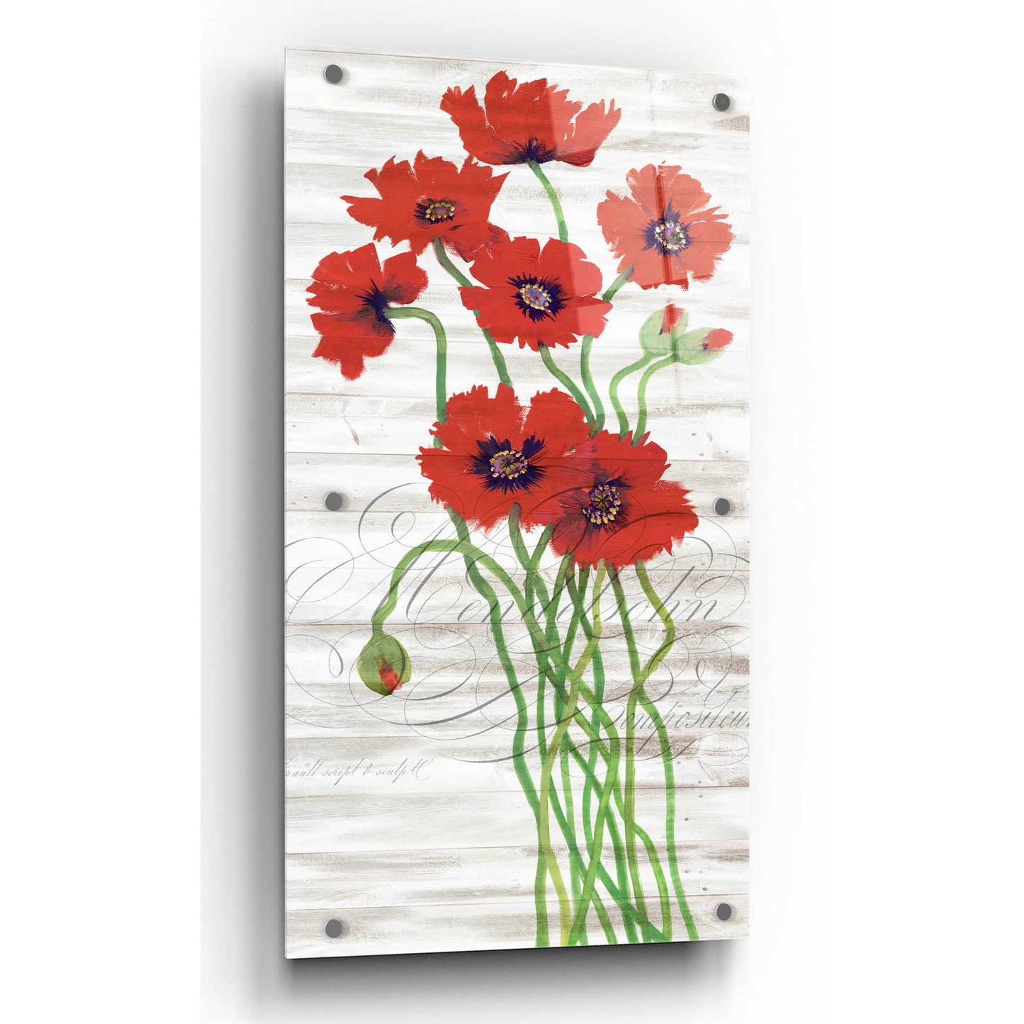 Epic Art 'Red Poppy Panel I' by Tim O'Toole, Acrylic Glass Wall Art,12x24