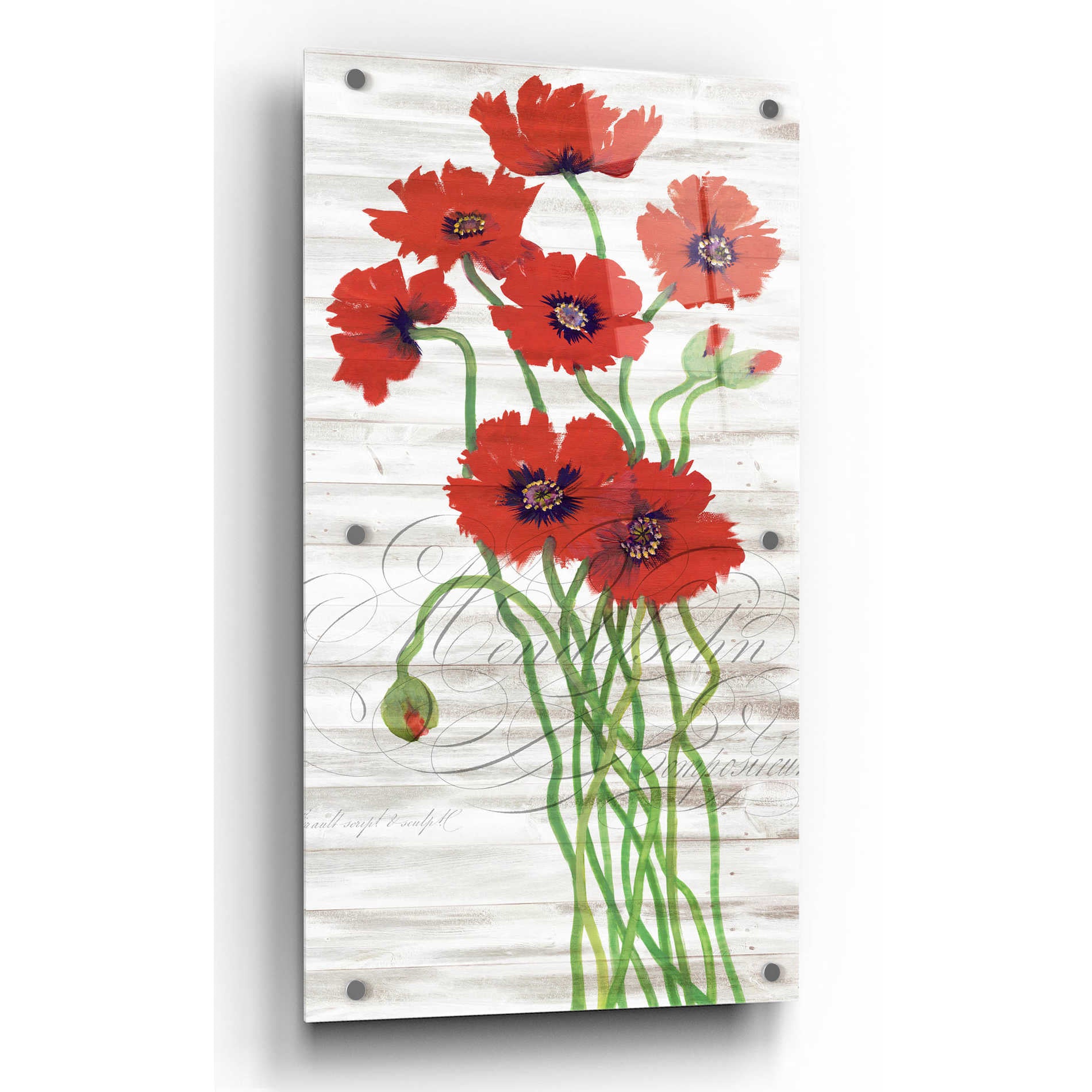 Epic Art 'Red Poppy Panel I' by Tim O'Toole, Acrylic Glass Wall Art,24x48