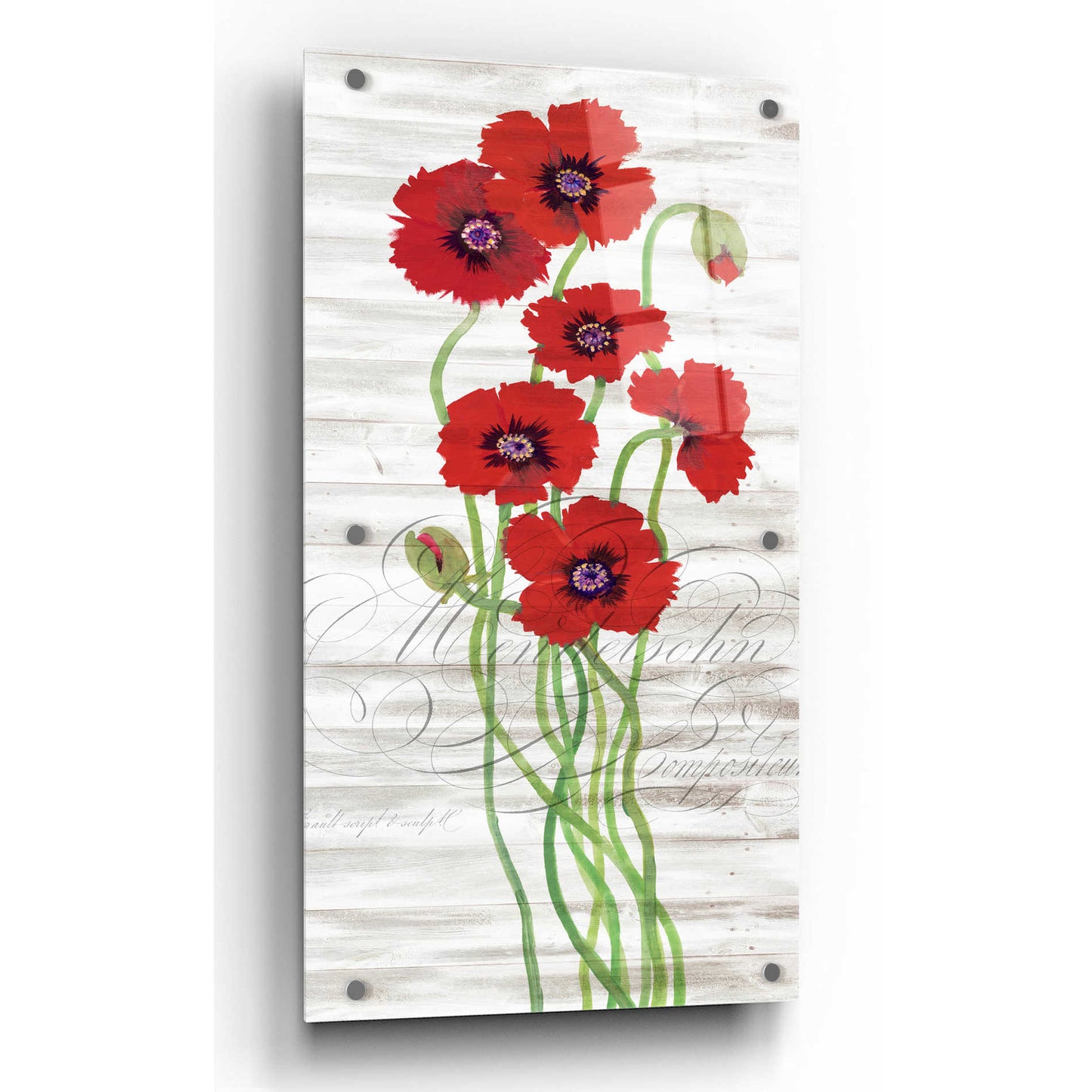 Epic Art 'Red Poppy Panel II' by Tim O'Toole, Acrylic Glass Wall Art,12x24