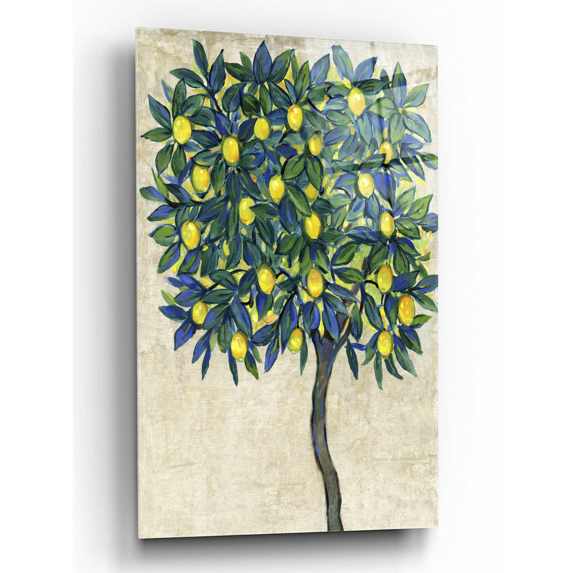 Epic Art 'Lemon Tree Composition I' by Tim O'Toole, Acrylic Glass Wall Art,12x16