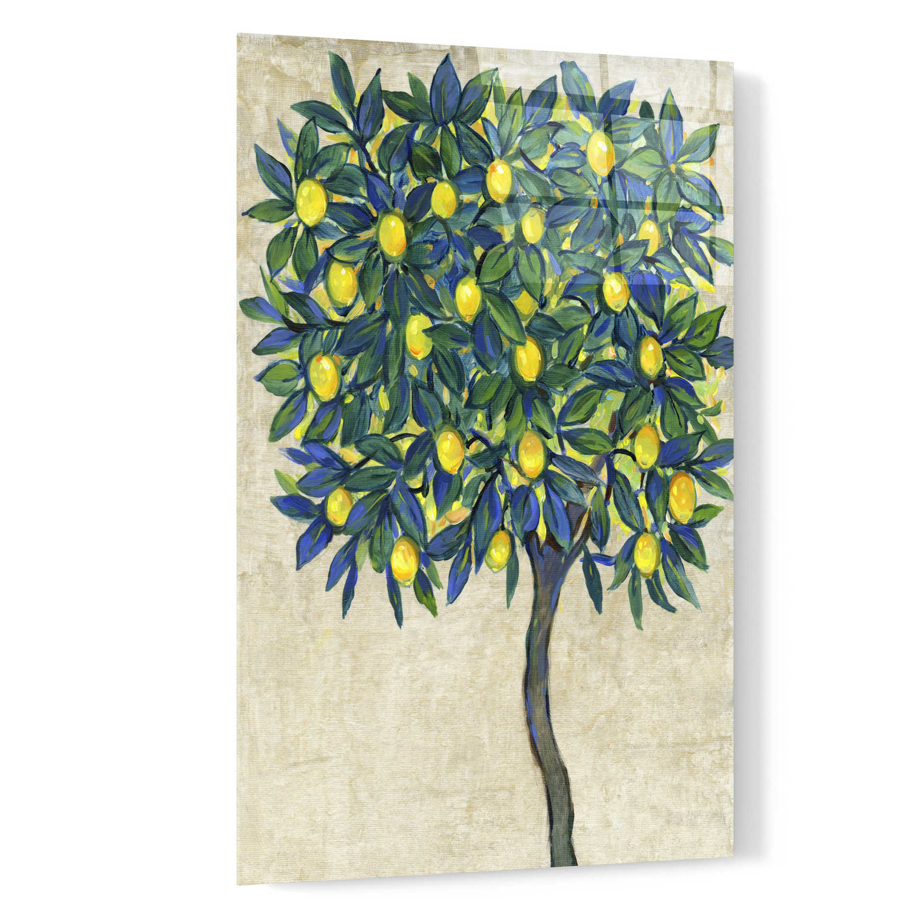 Epic Art 'Lemon Tree Composition I' by Tim O'Toole, Acrylic Glass Wall Art,16x24