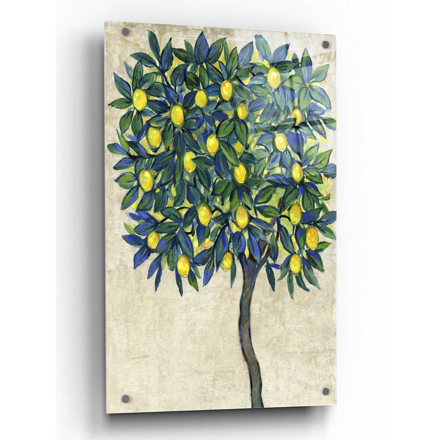 Epic Art 'Lemon Tree Composition I' by Tim O'Toole, Acrylic Glass Wall Art,24x36