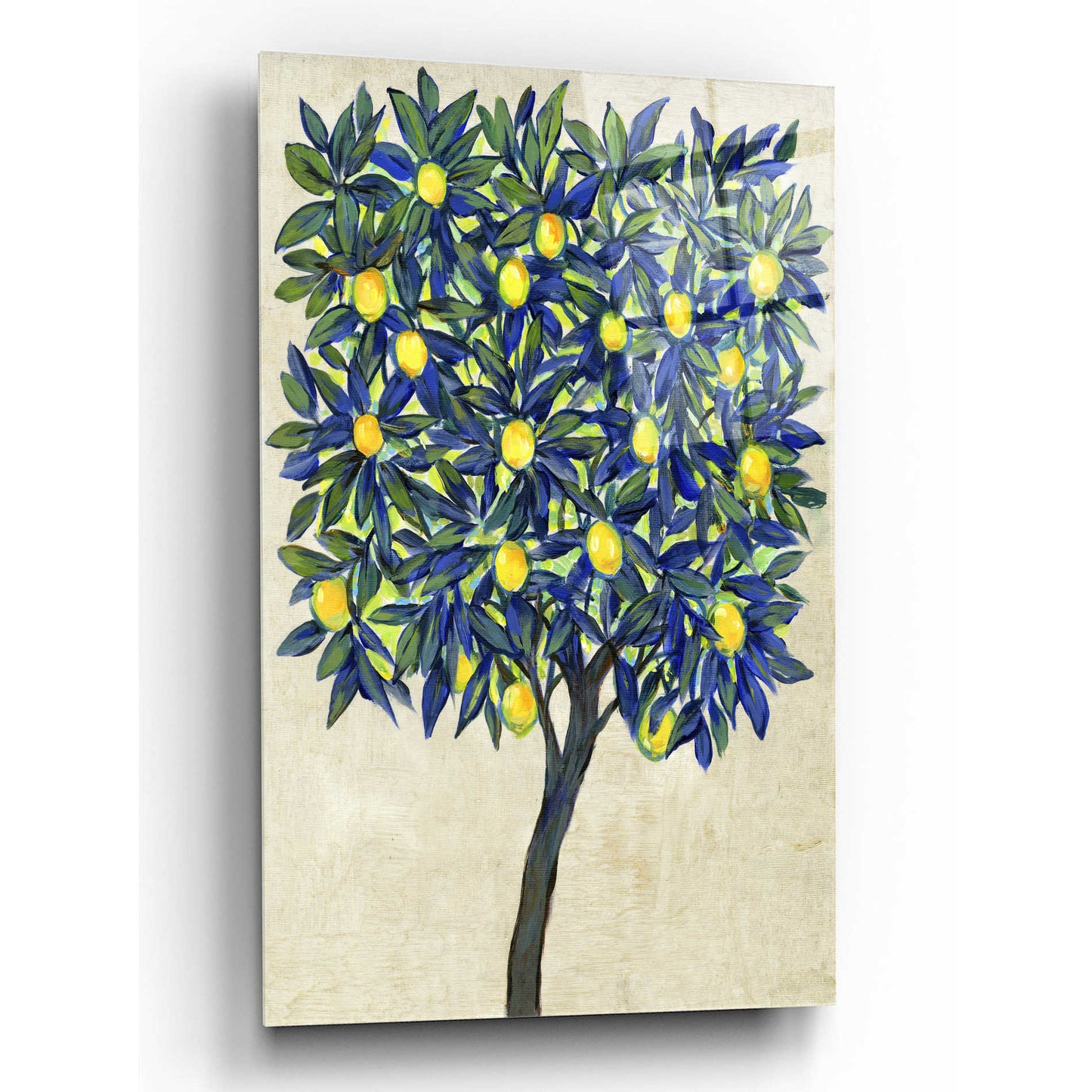 Epic Art 'Lemon Tree Composition II' by Tim O'Toole, Acrylic Glass Wall Art,12x16