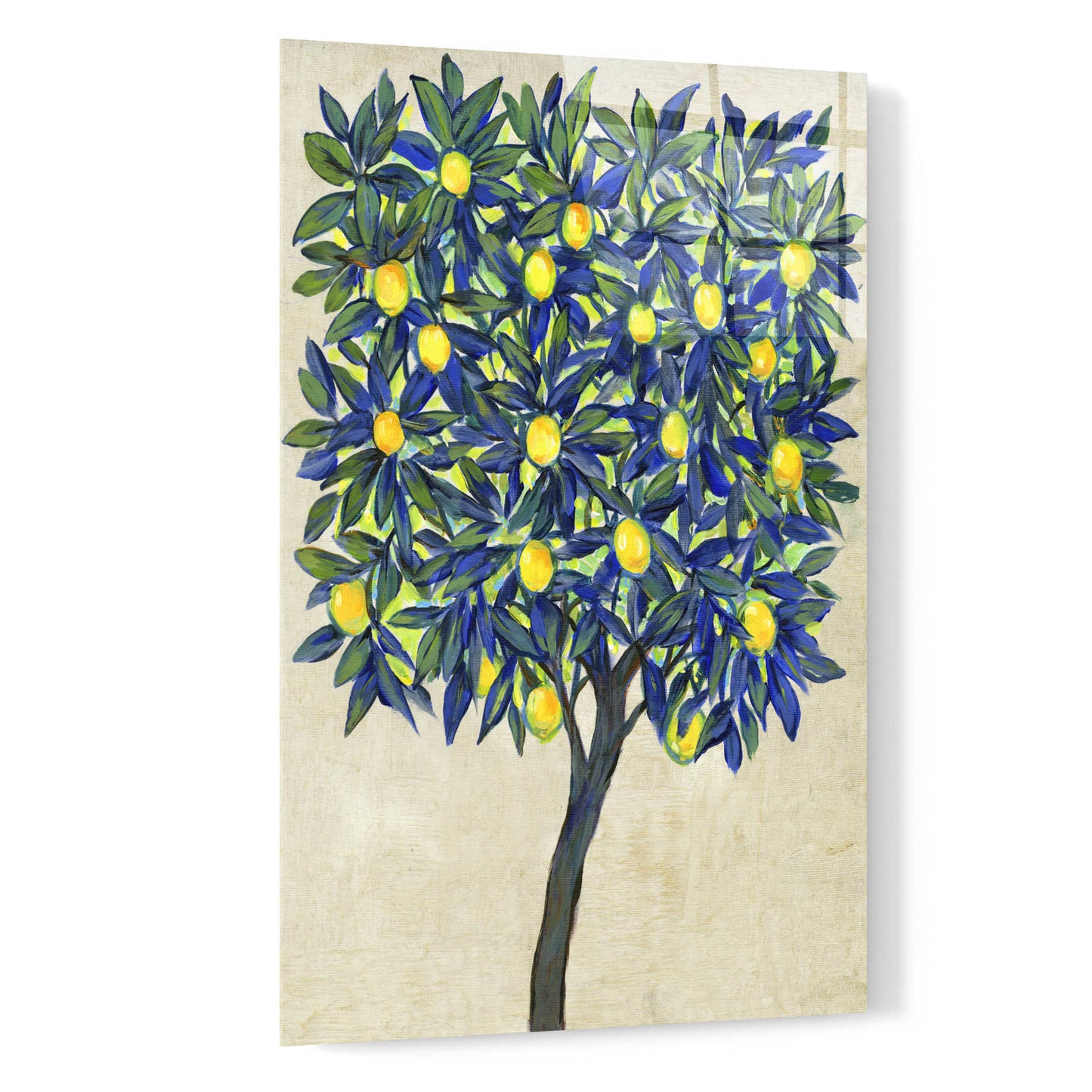 Epic Art 'Lemon Tree Composition II' by Tim O'Toole, Acrylic Glass Wall Art,16x24