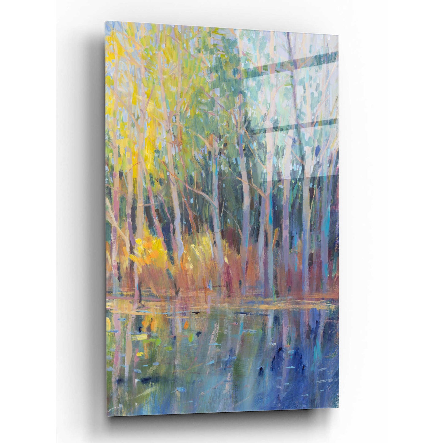 Epic Art 'Reflected Trees I' by Tim O'Toole, Acrylic Glass Wall Art,12x16