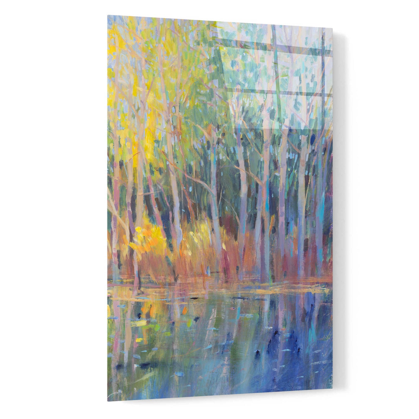 Epic Art 'Reflected Trees I' by Tim O'Toole, Acrylic Glass Wall Art,16x24