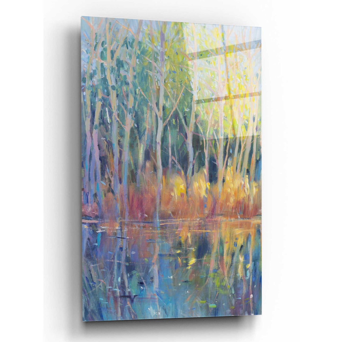 Epic Art 'Reflected Trees II' by Tim O'Toole, Acrylic Glass Wall Art,12x16