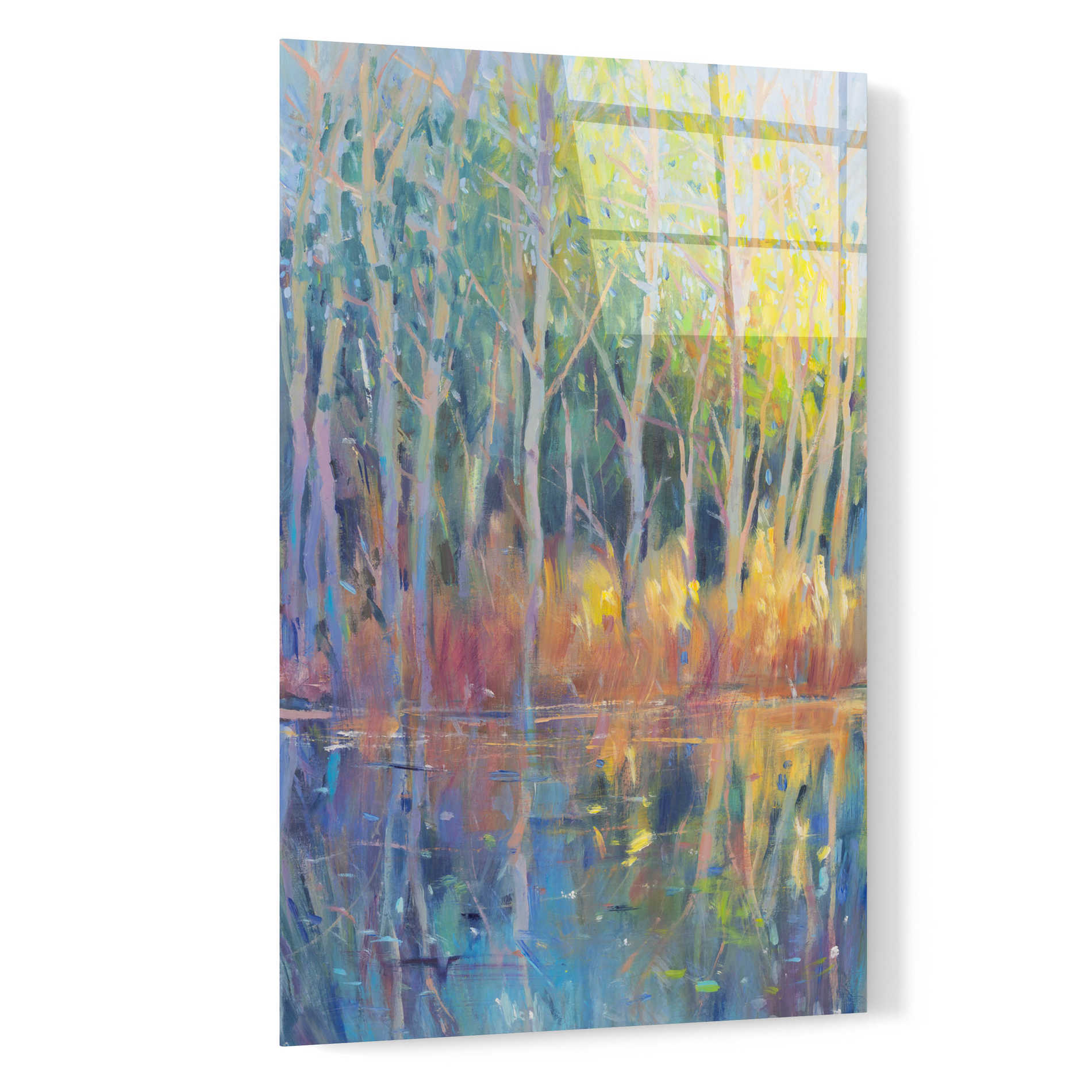 Epic Art 'Reflected Trees II' by Tim O'Toole, Acrylic Glass Wall Art,16x24