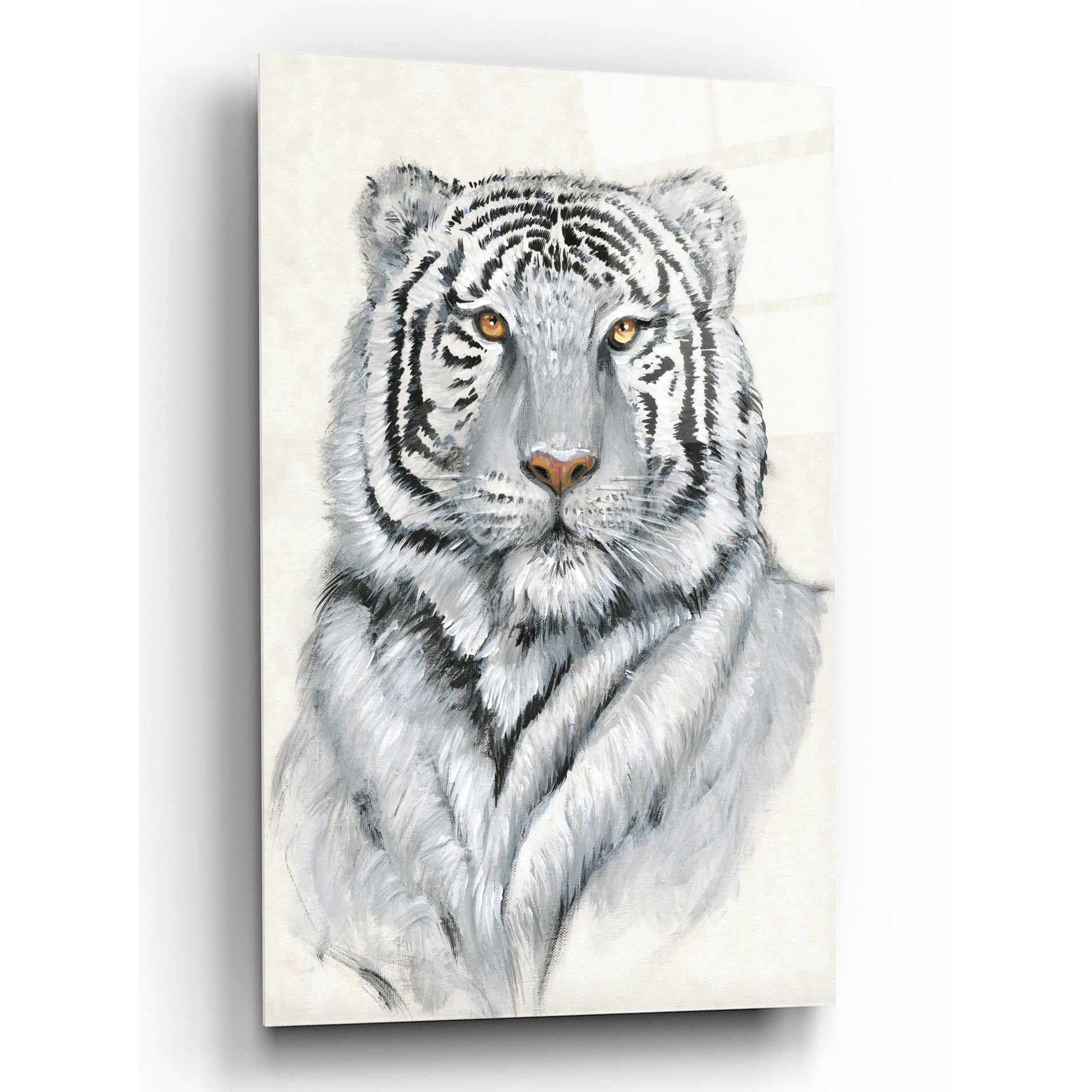 Epic Art 'White Tiger I' by Tim O'Toole, Acrylic Glass Wall Art,12x16