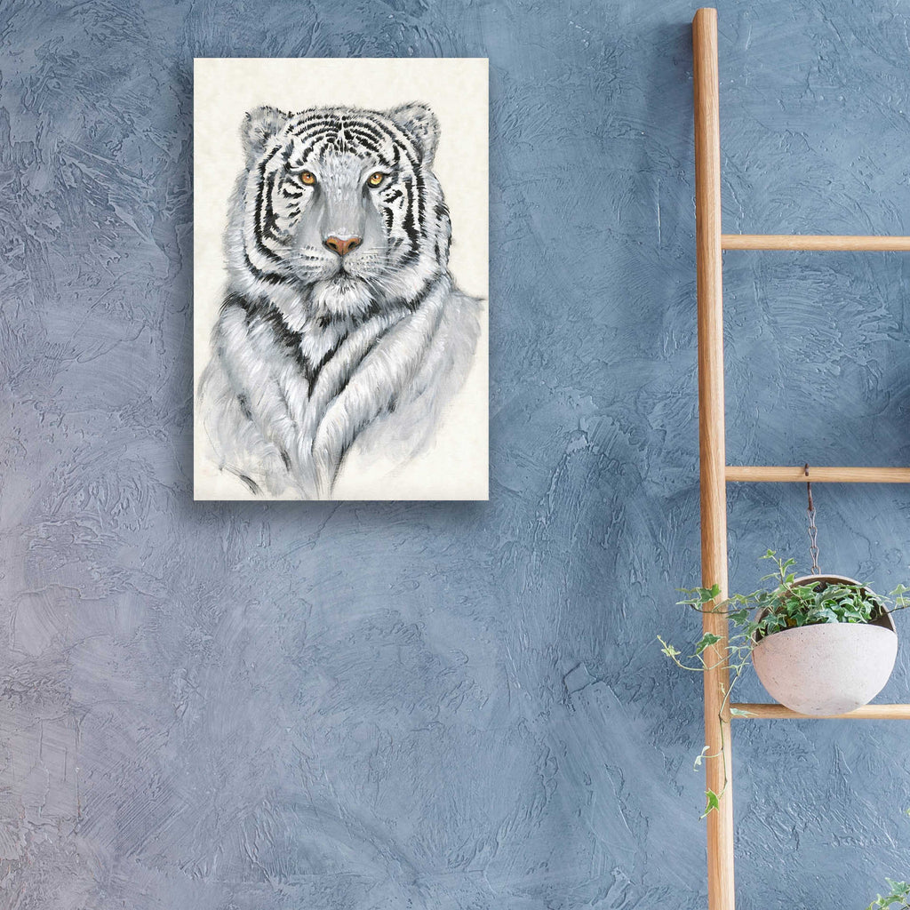 Epic Art 'White Tiger I' by Tim O'Toole, Acrylic Glass Wall Art,16x24