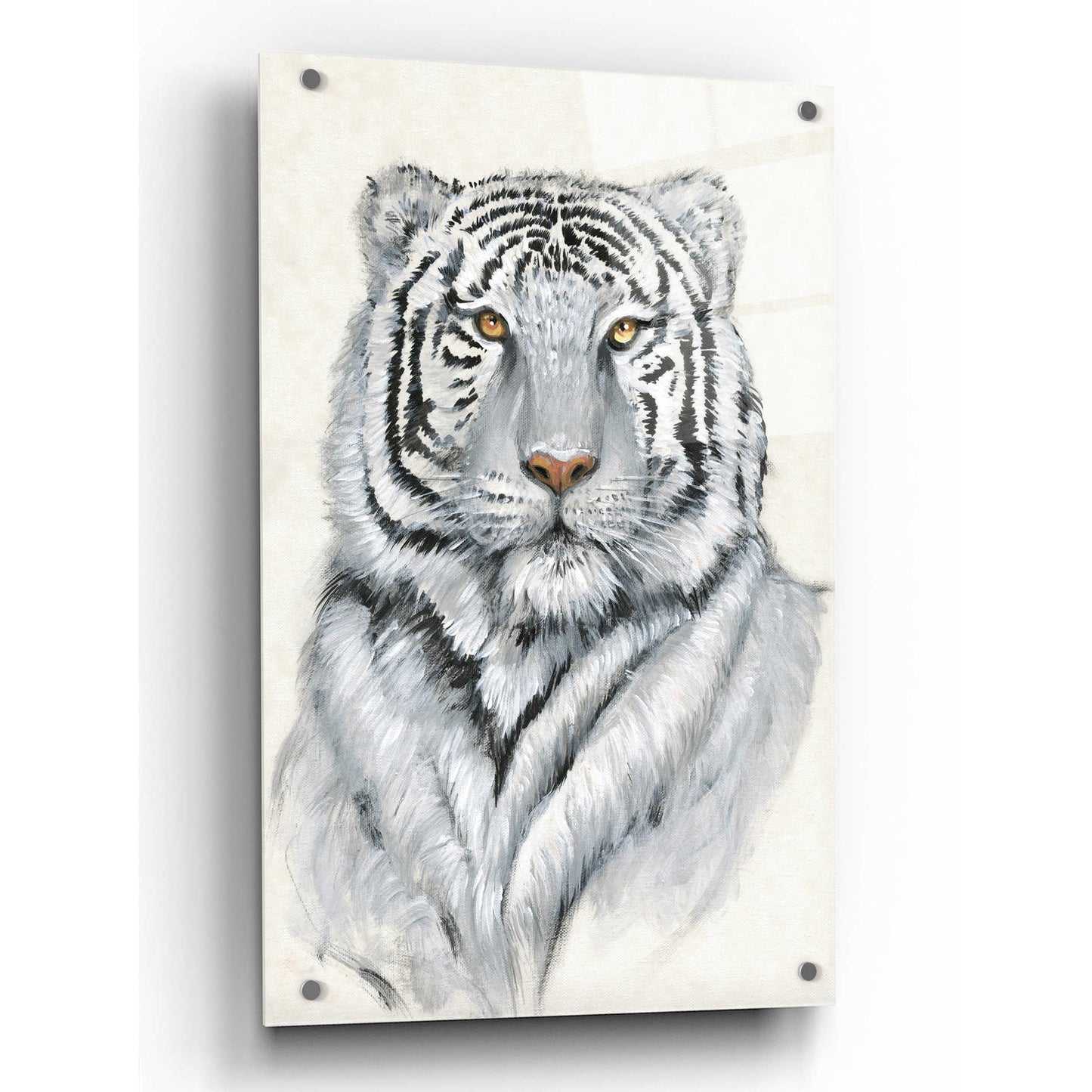 Epic Art 'White Tiger I' by Tim O'Toole, Acrylic Glass Wall Art,24x36