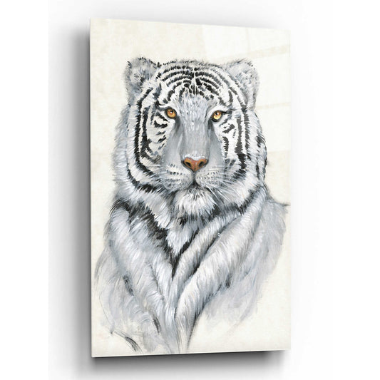 Epic Art 'White Tiger I' by Tim O'Toole, Acrylic Glass Wall Art