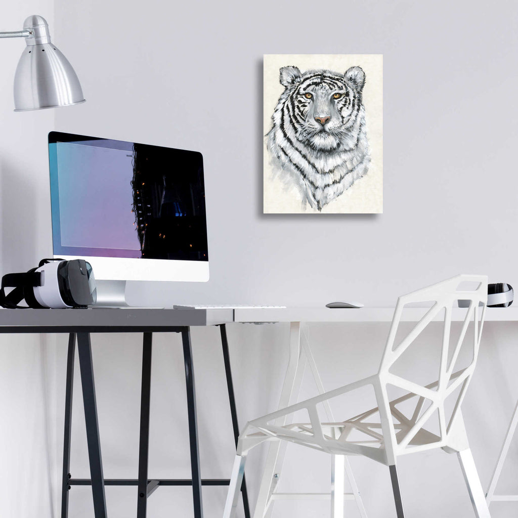 Epic Art 'White Tiger II' by Tim O'Toole, Acrylic Glass Wall Art,12x16